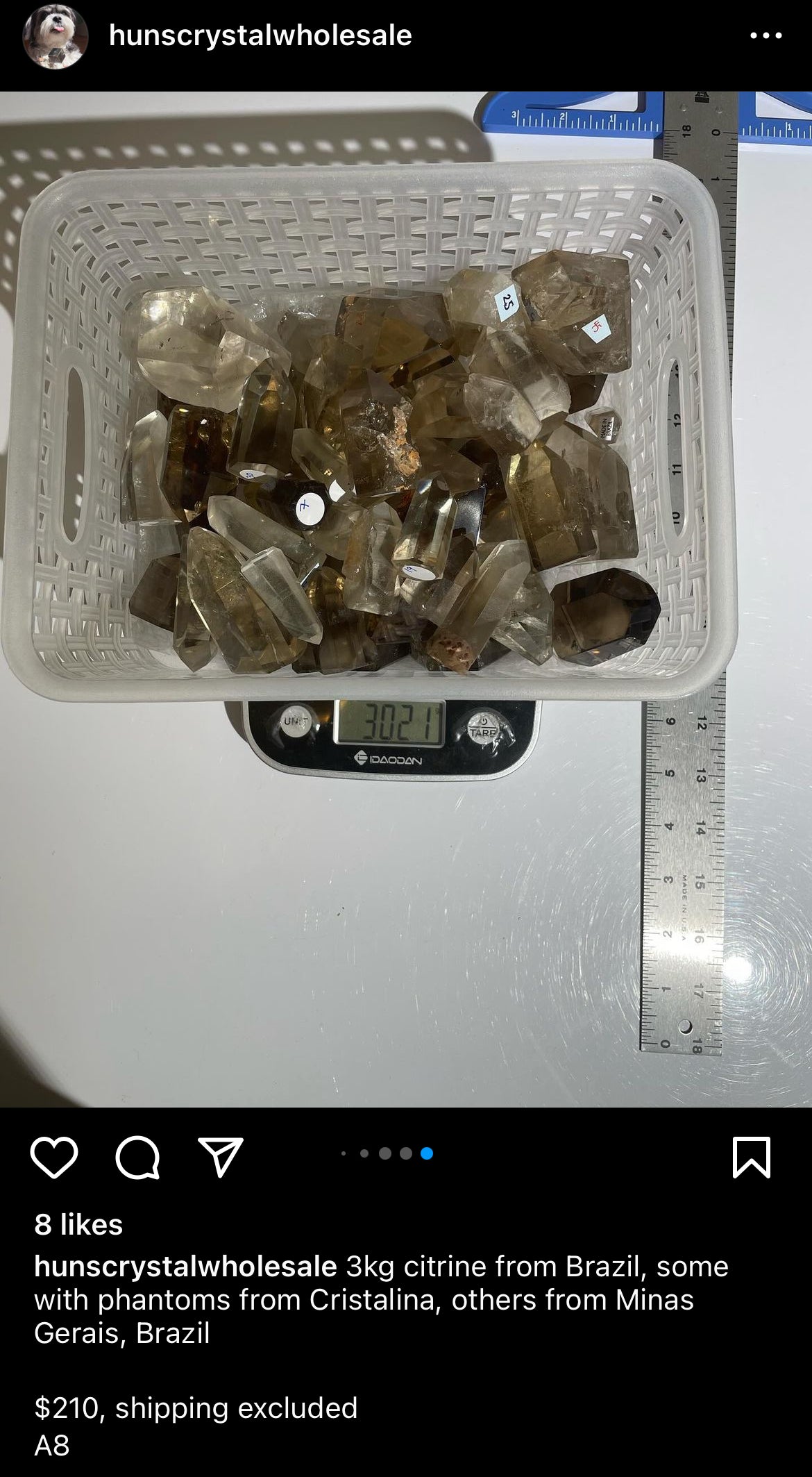 Listing for @sub.rosa.rising