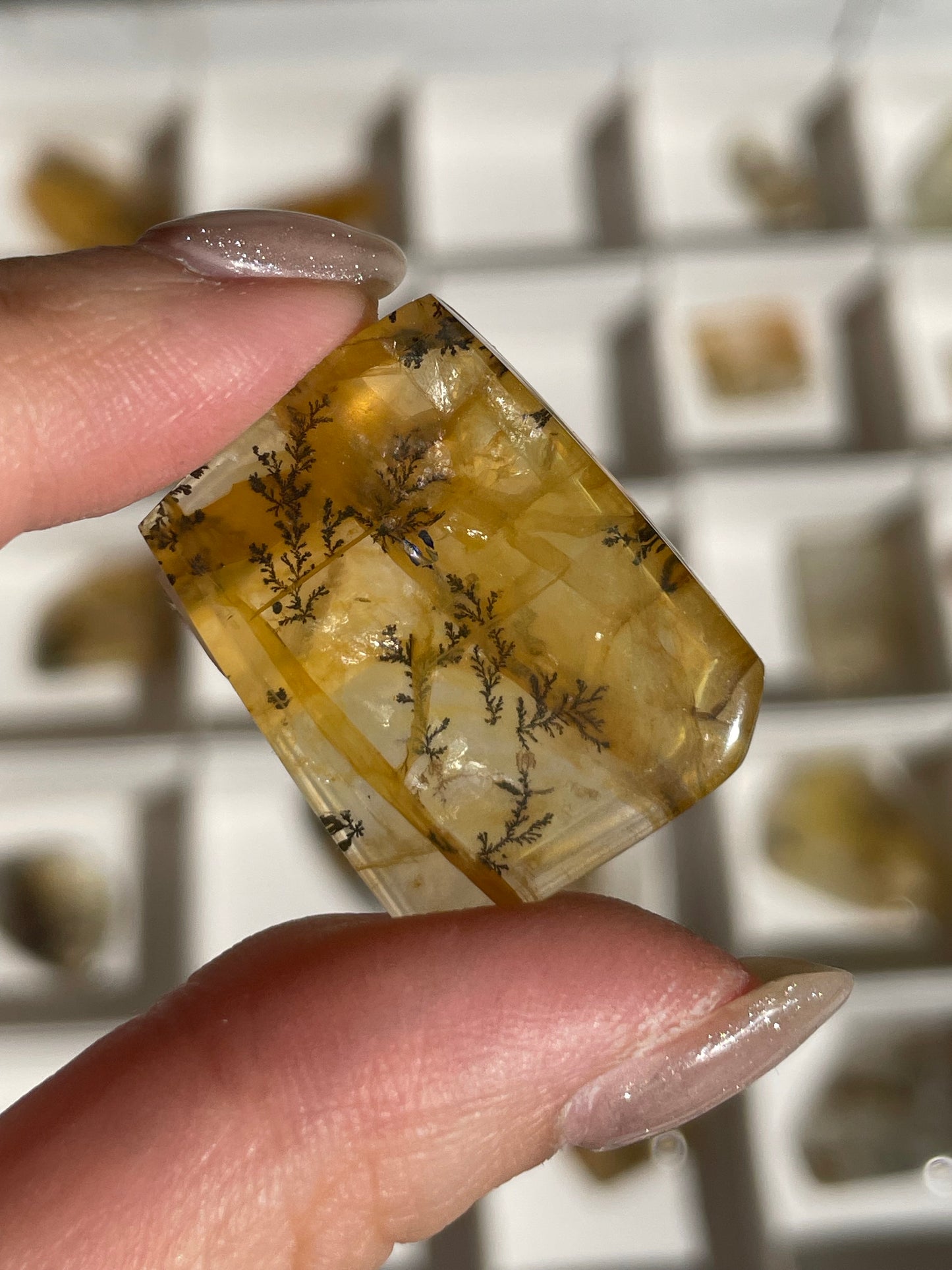 Listing for @mostly_minerals