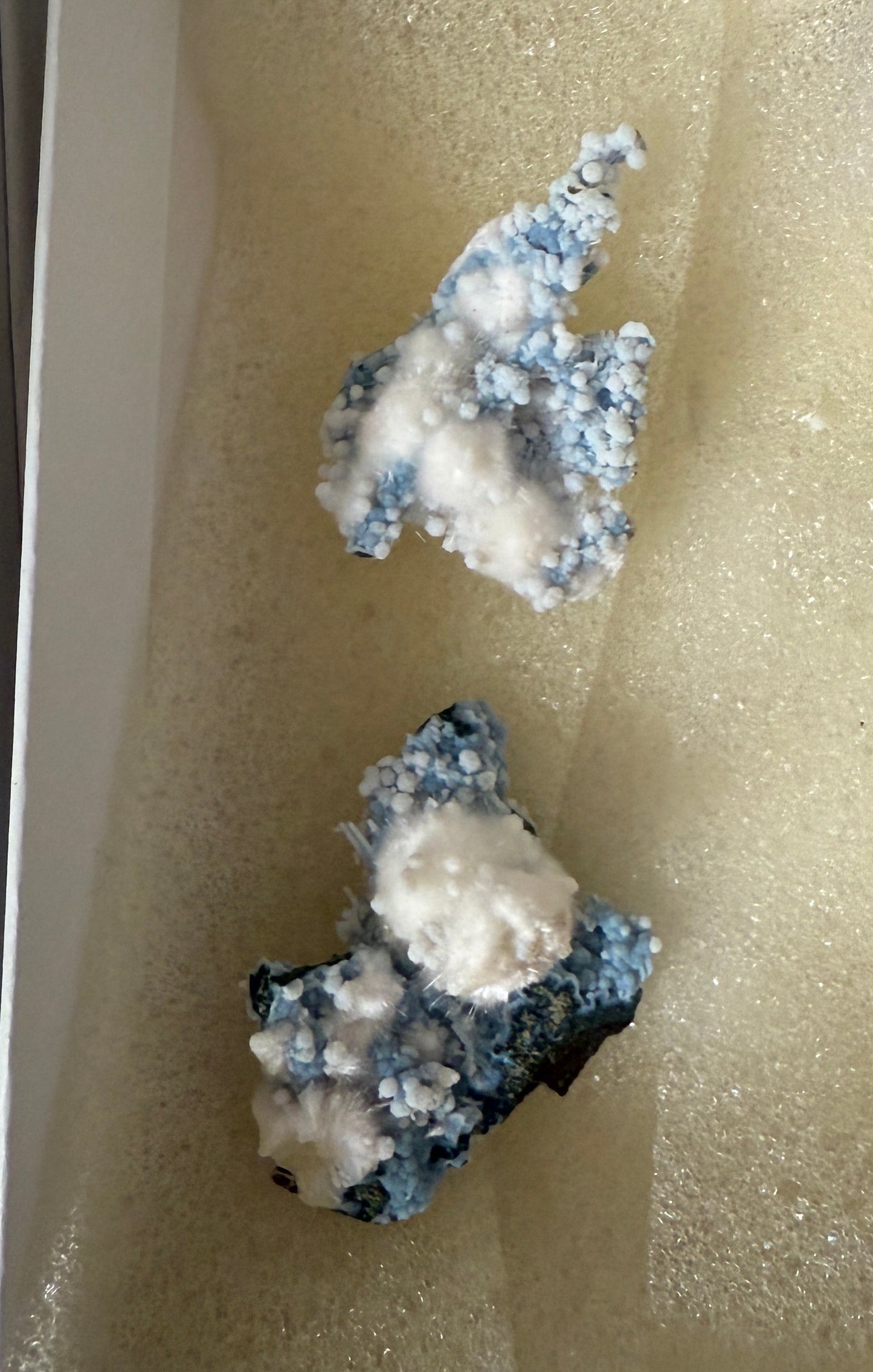 Listing for @maise_zzz