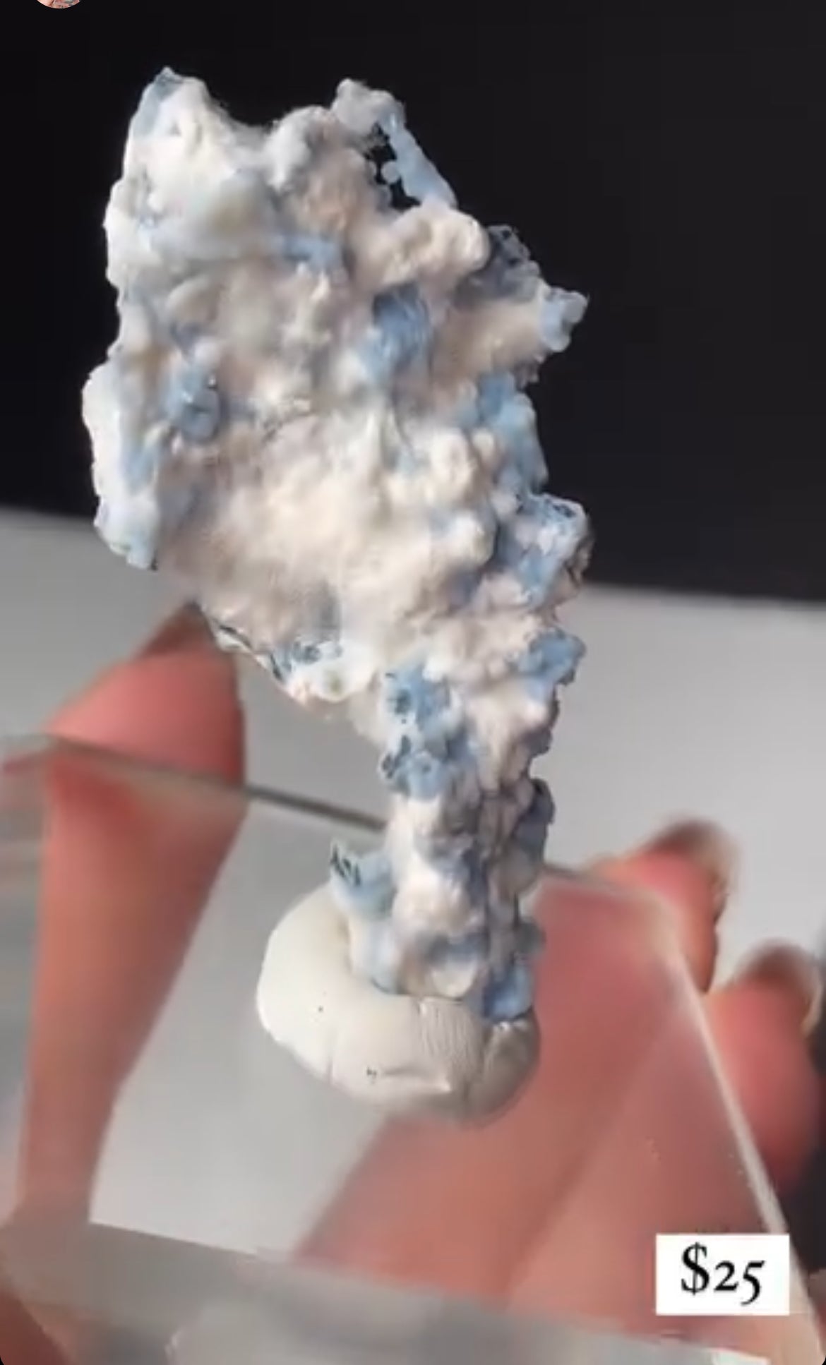 Listing for @growing__together