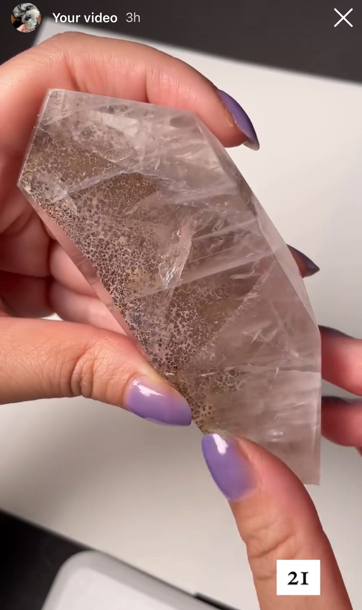 Listing for Reina’s person