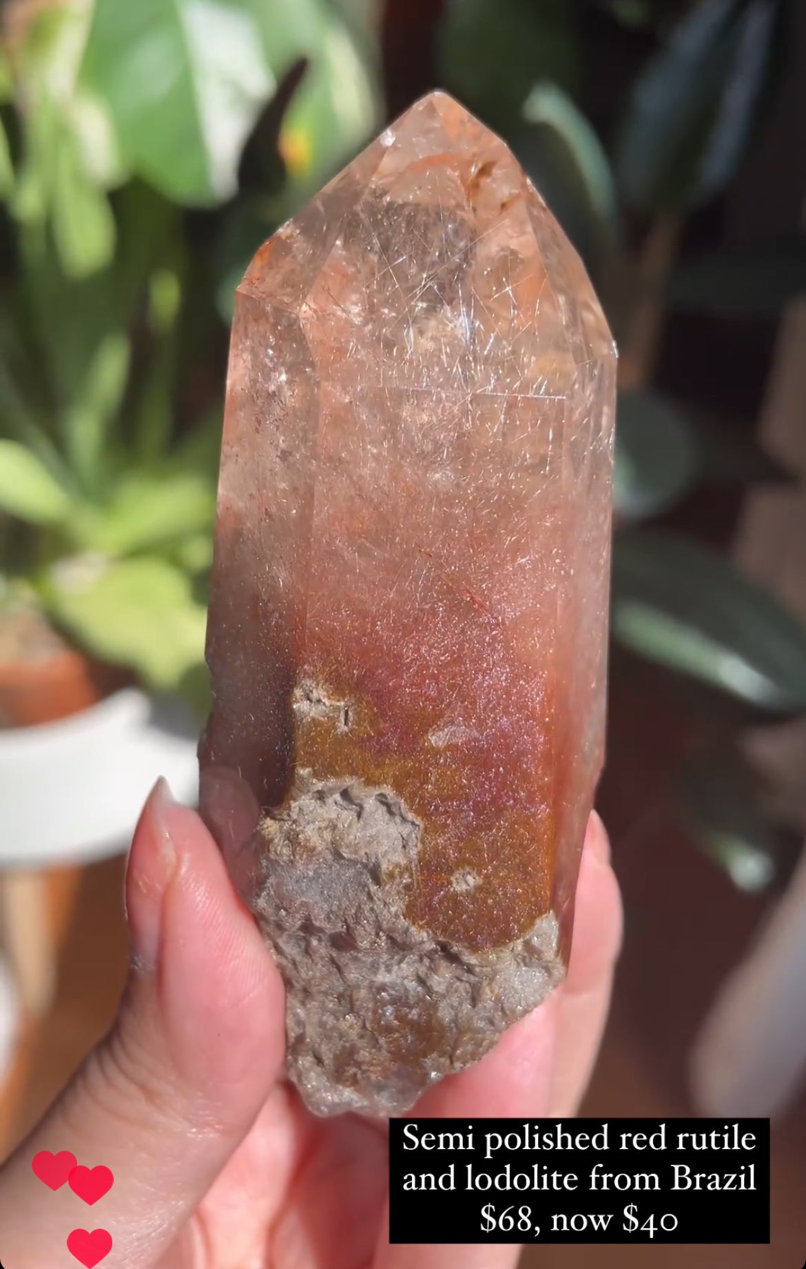 Listing for @yutingh718