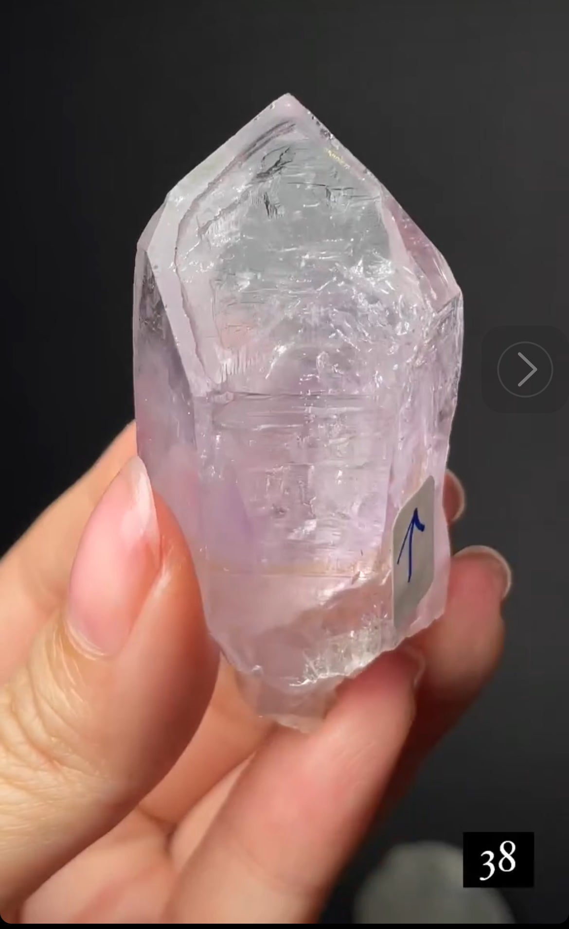 Listing for @queerbirdy