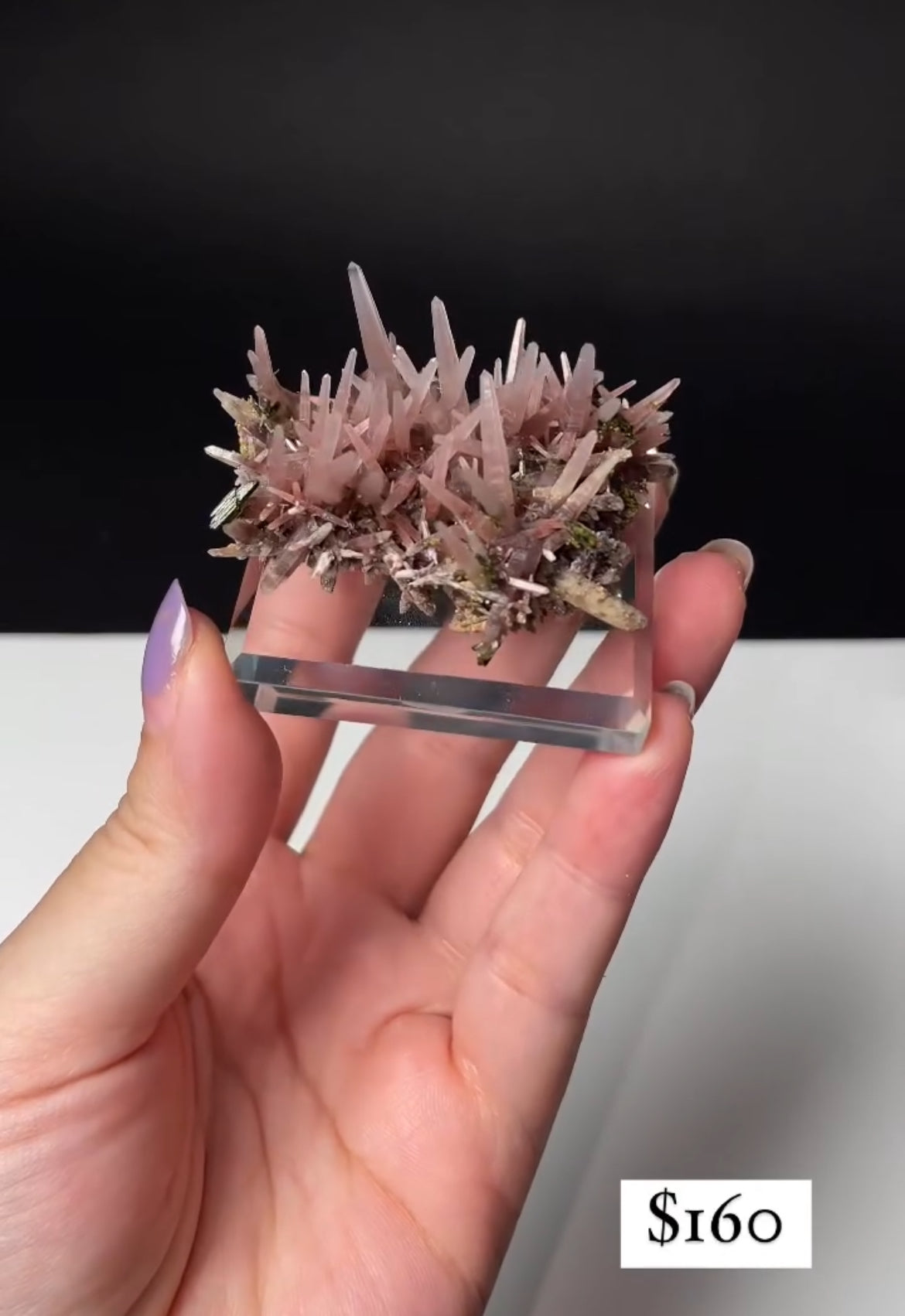 Listing for @ss_rockmyworld