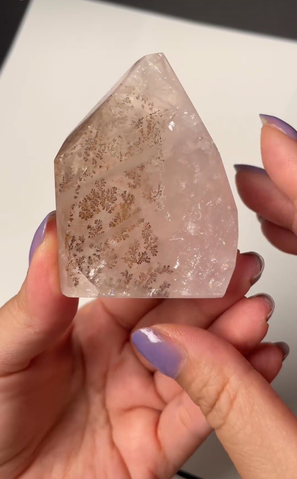 Listing for @stephlleavell