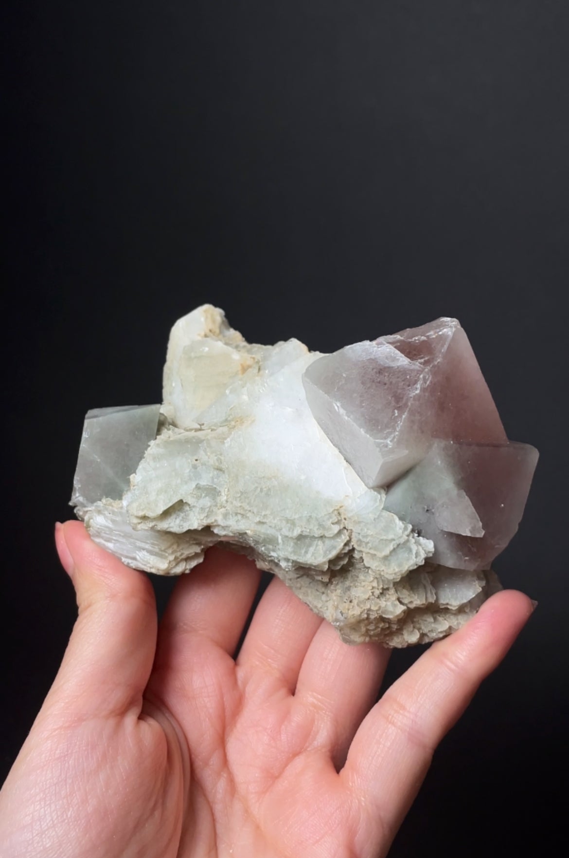 Listing for @romi_noda