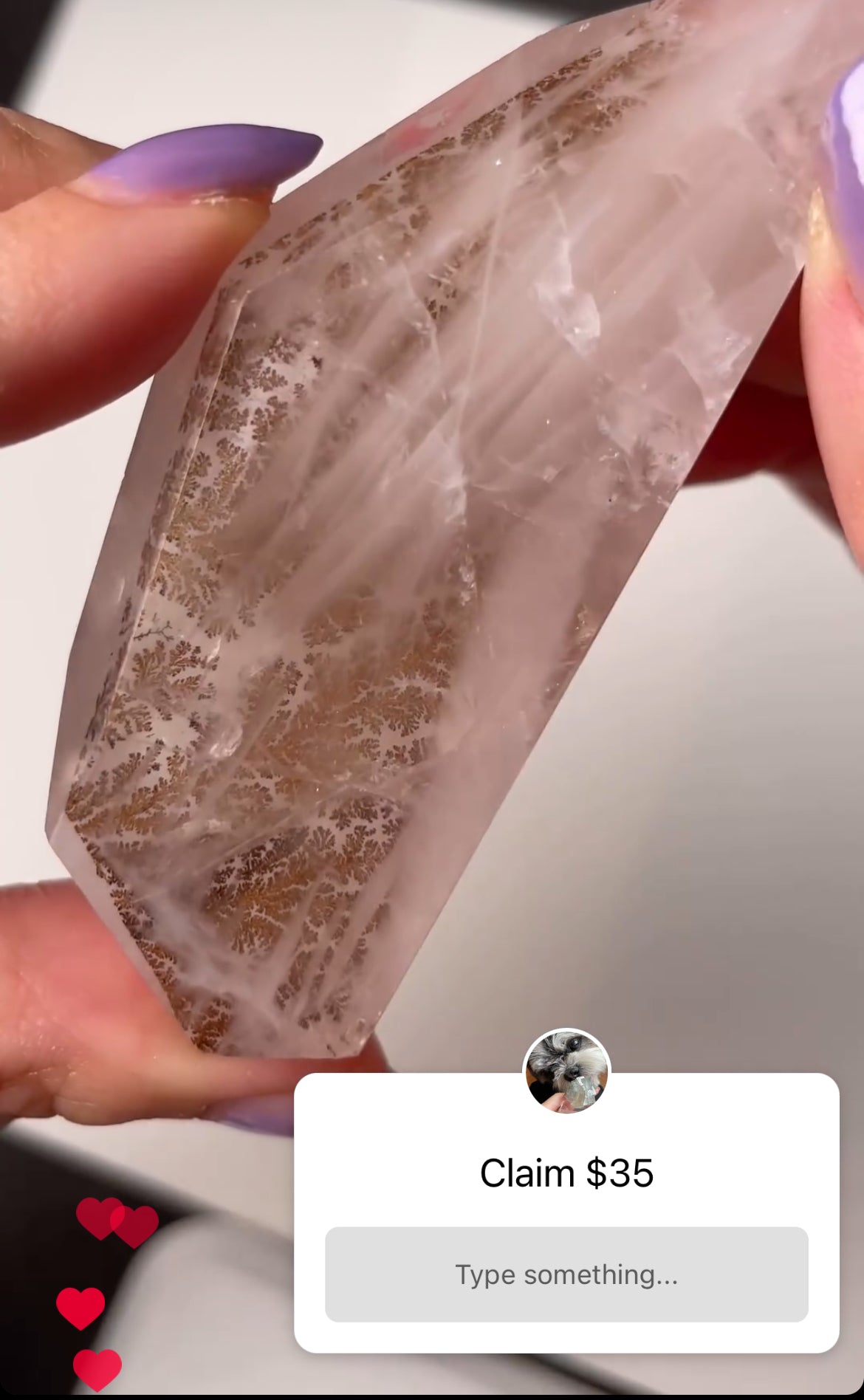 Listing for @dogscrystalsplants