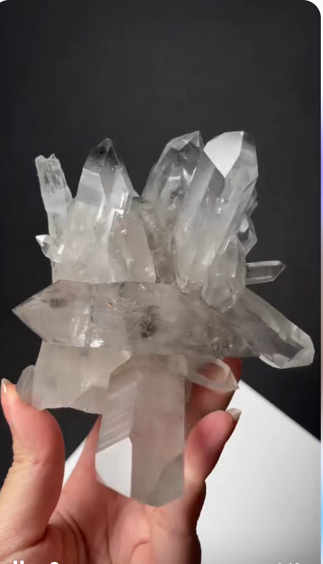 Listing for @queerbirdy