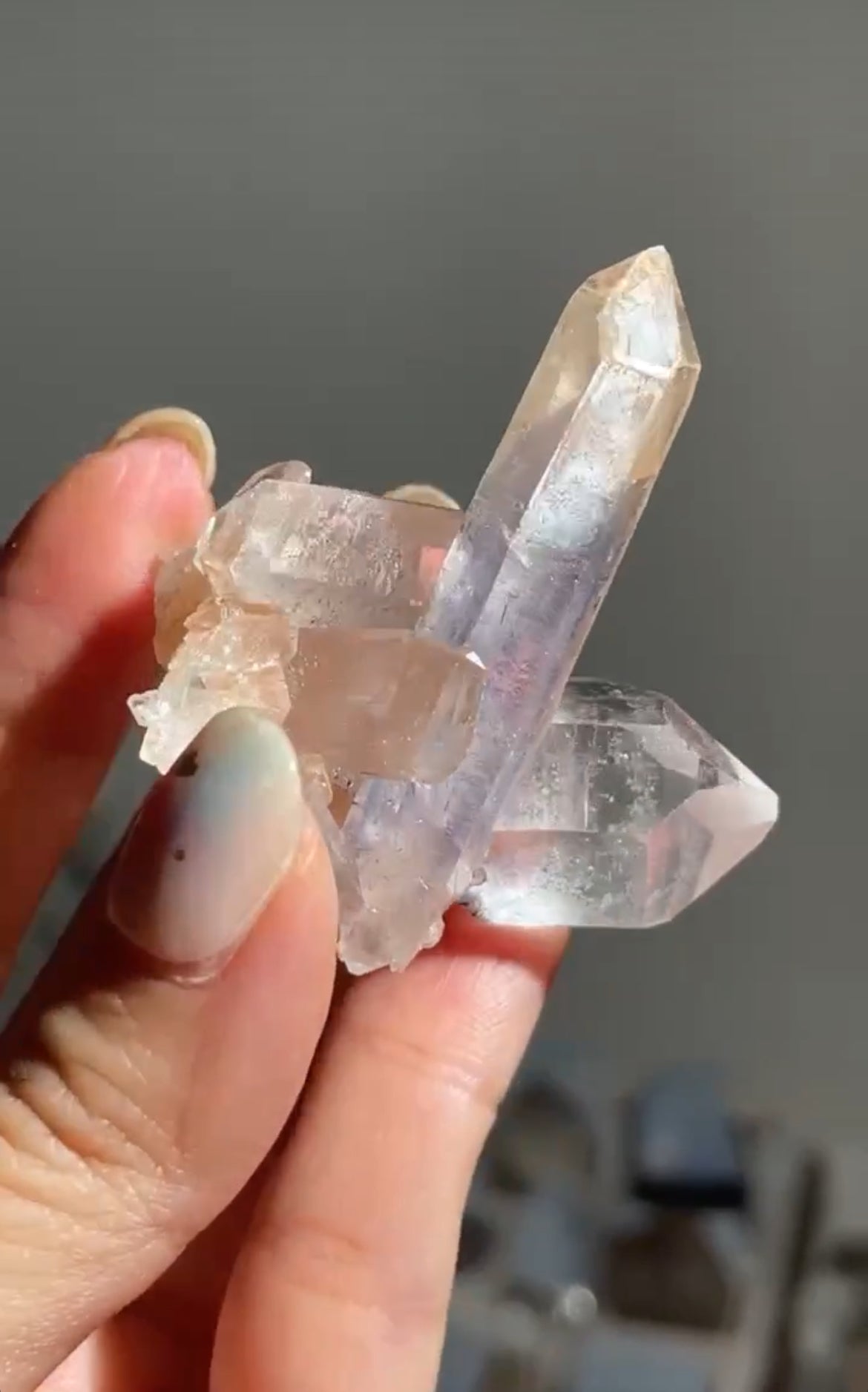 Listing for @theknottyshelf