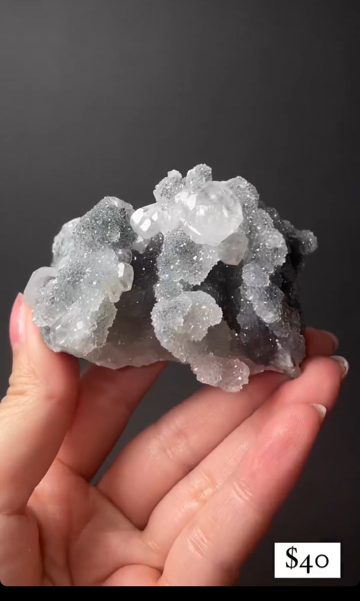 Listing for @notsoclevergirl