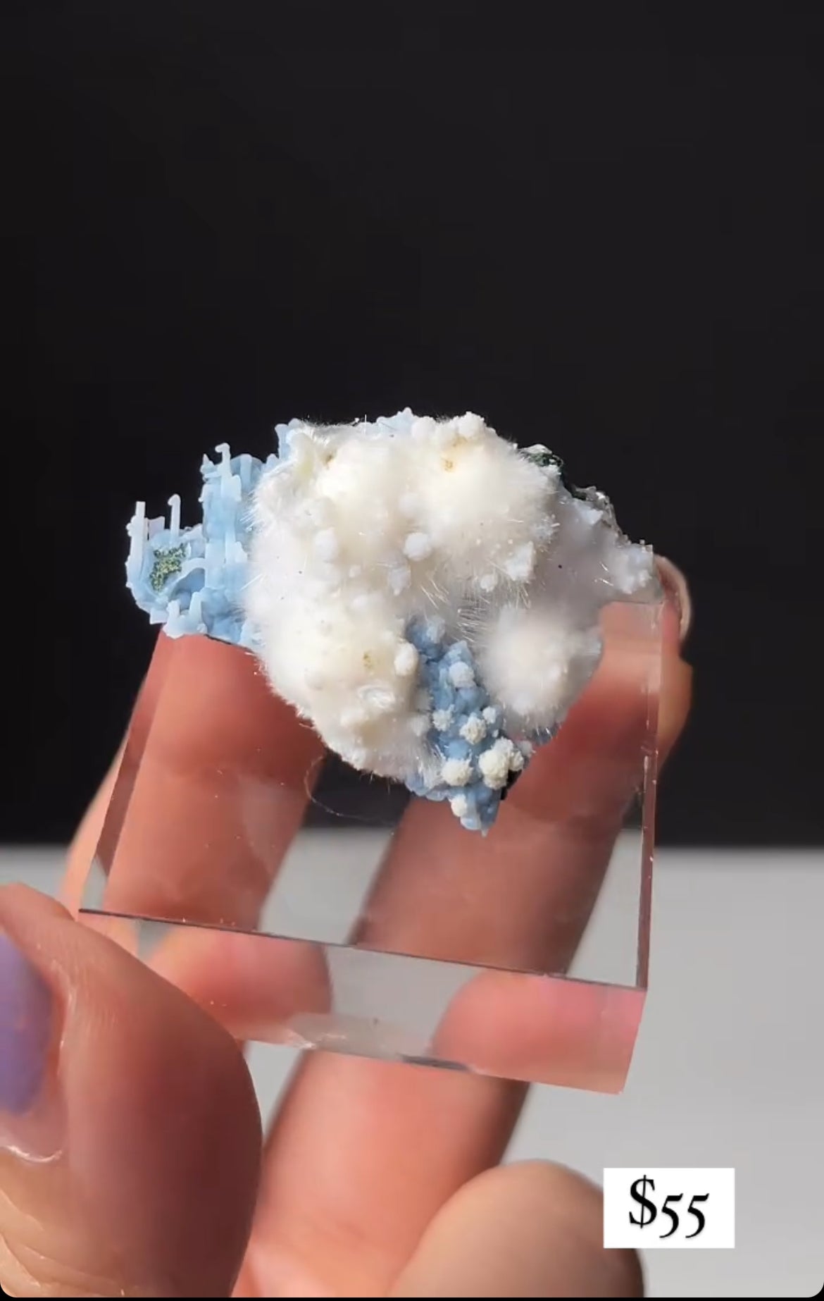 Listing for @salamander_sarah