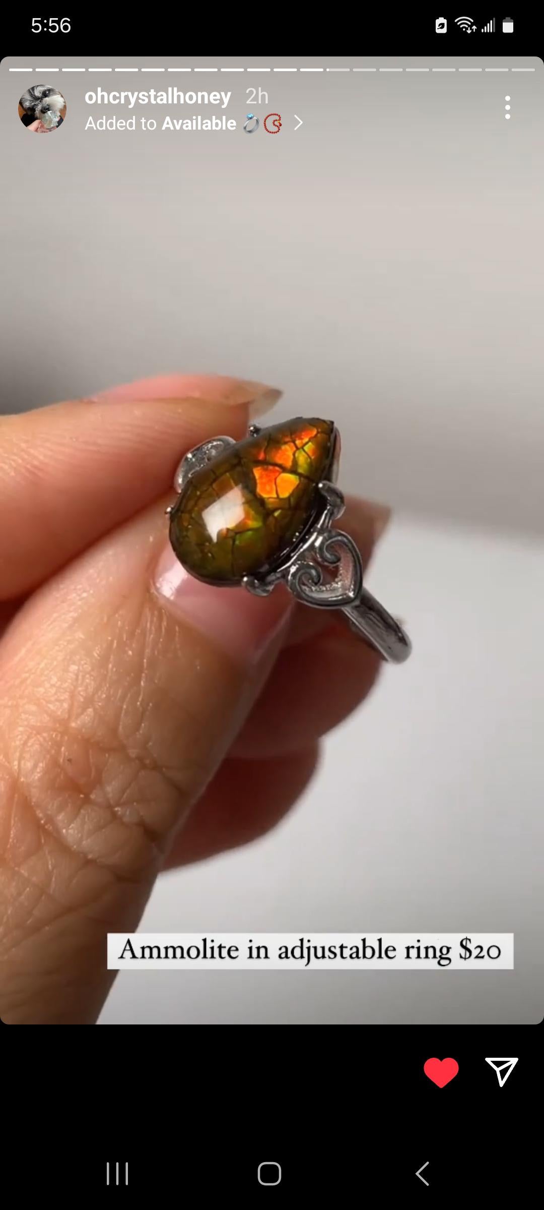 Listing for @notsoclevergirl