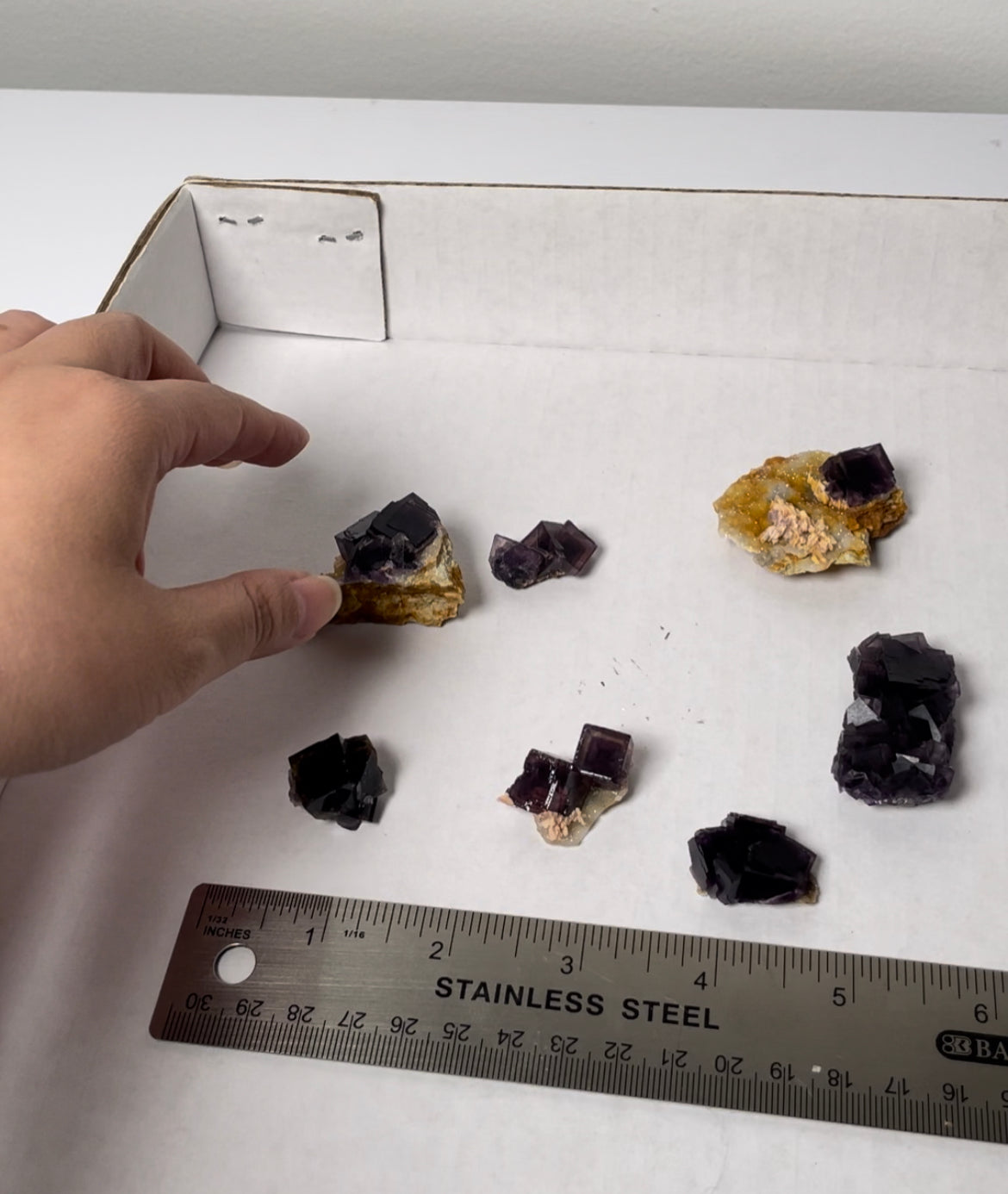 Listing for @sugarshapesco