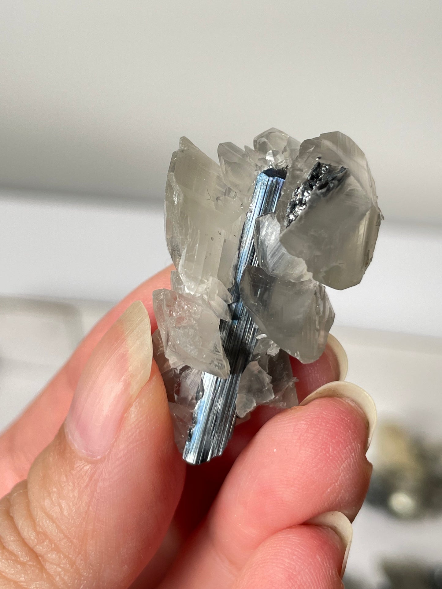 Listing for @sammerss