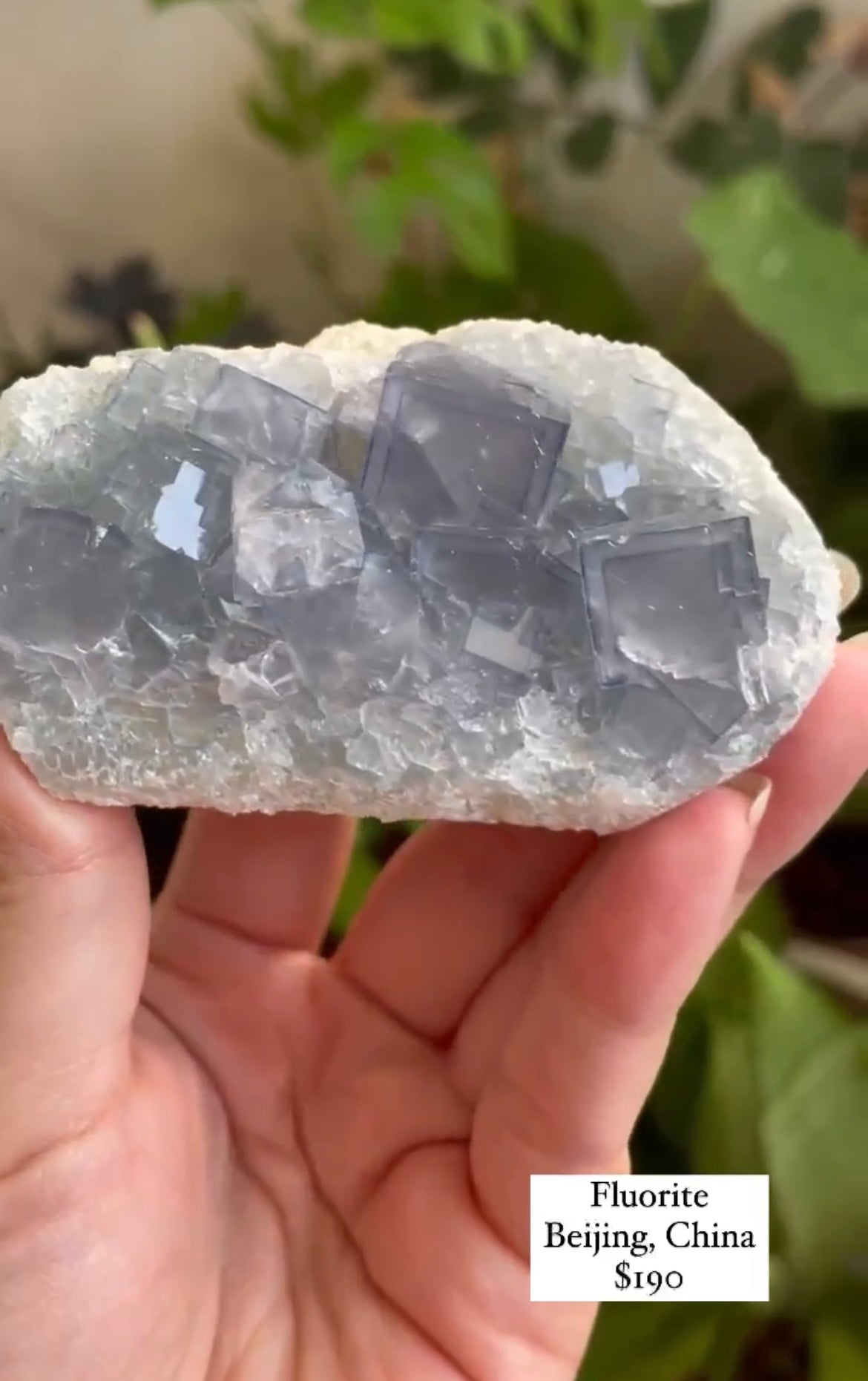 Listing for @sammerss