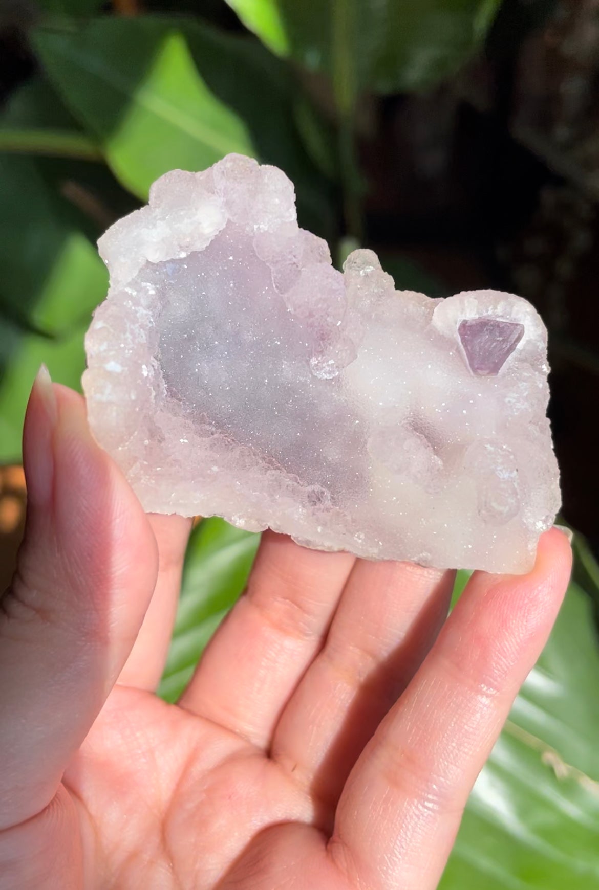 Listing for @sugarshapesco - Payment 2 of 2