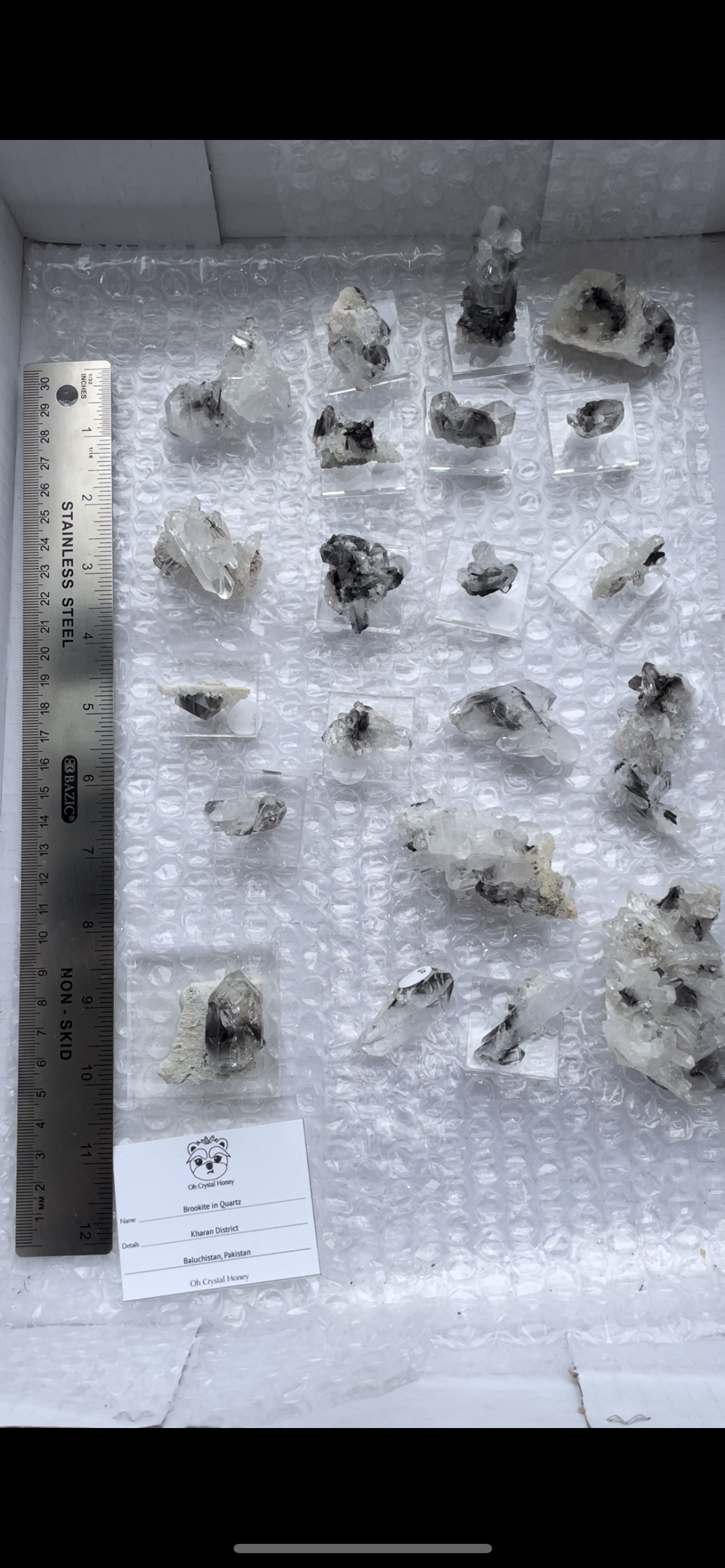 Listing for @cassidy.753