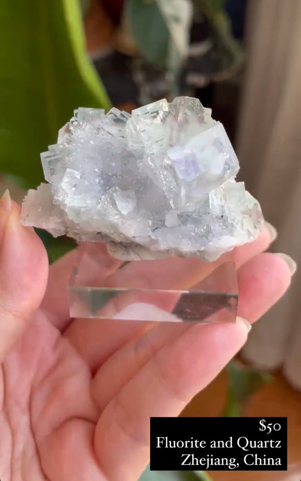 Listing for @sammerss