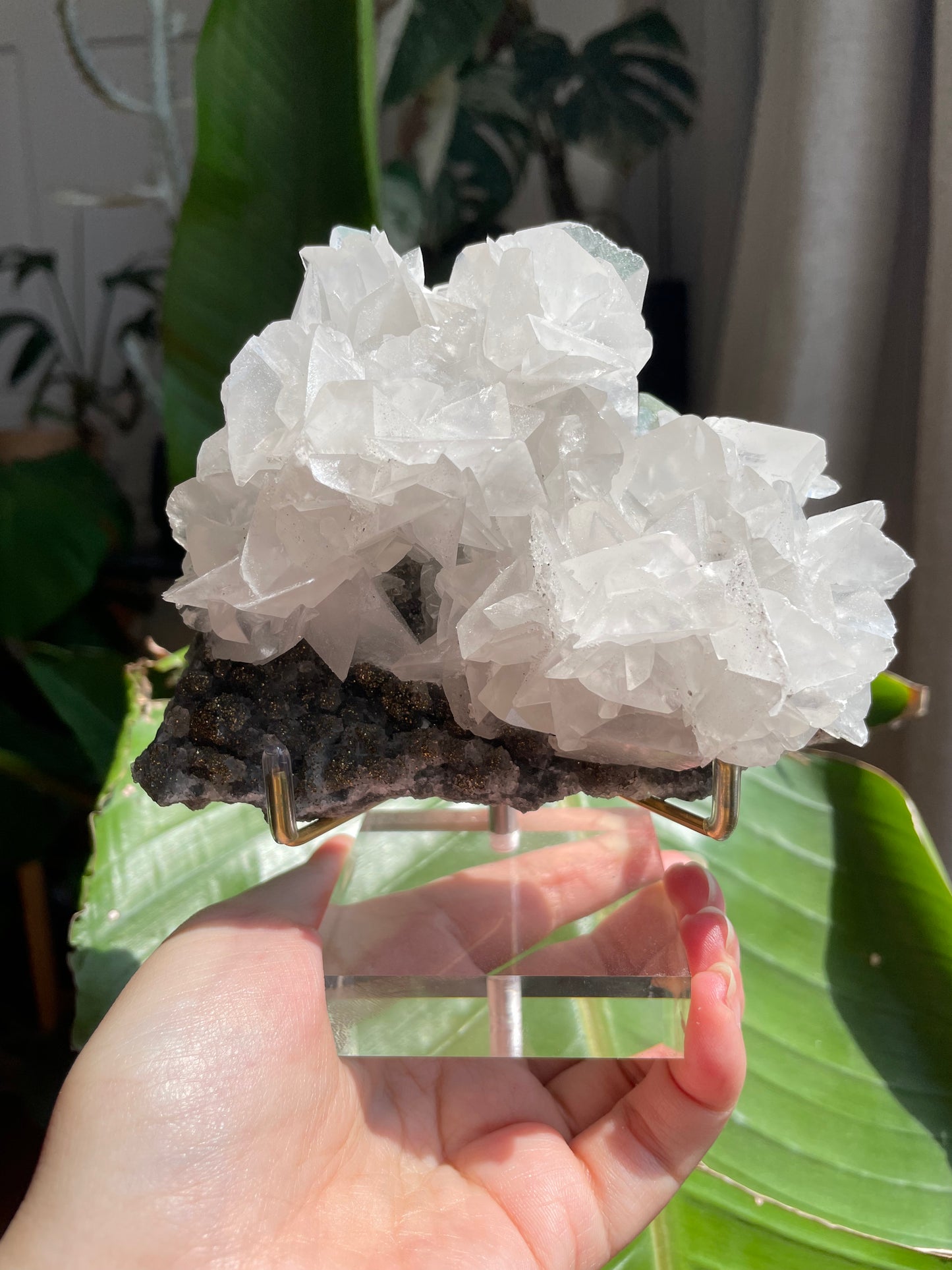 Listing for @viccilynn87