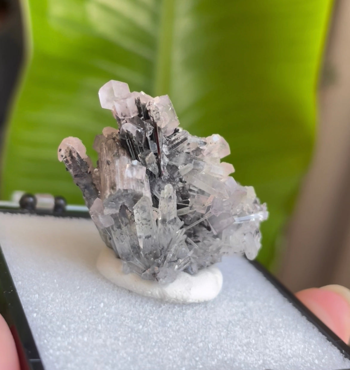 Listing for @mlle_dee_