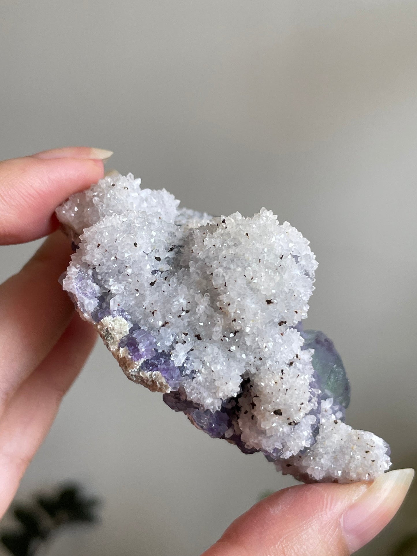 Listing for @crazybeautifulash