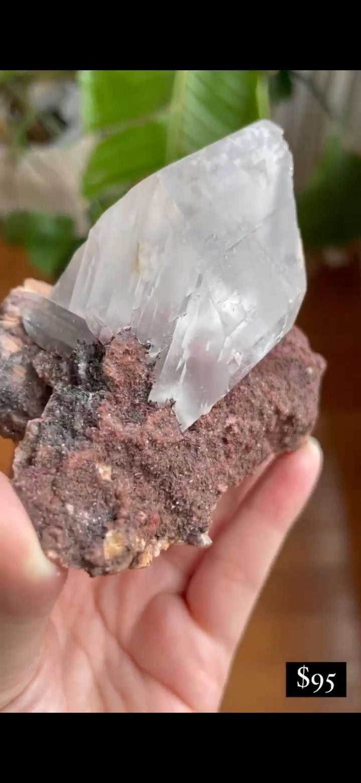 Listing for @love.nanachino