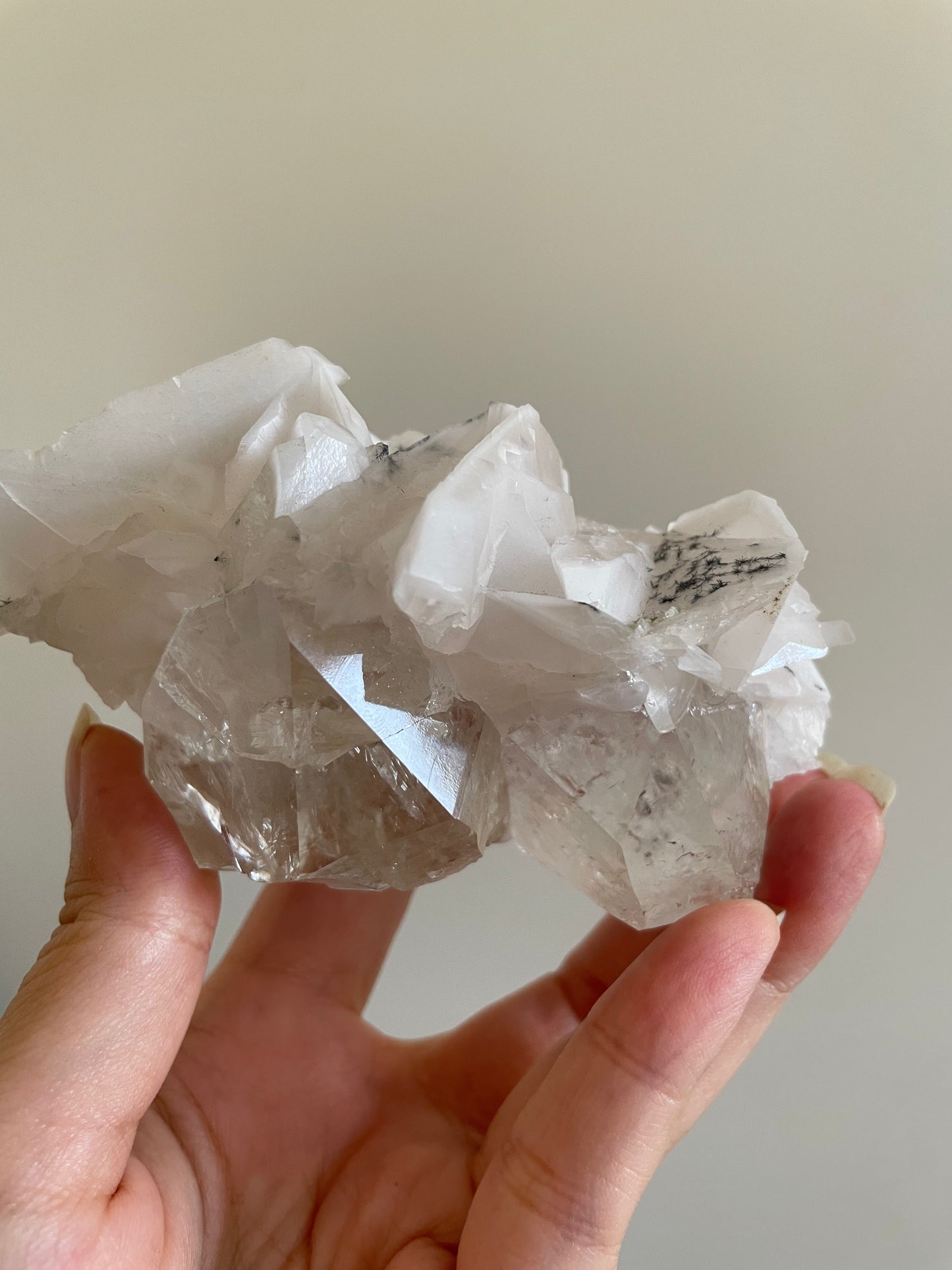 Listing for @rachelpags