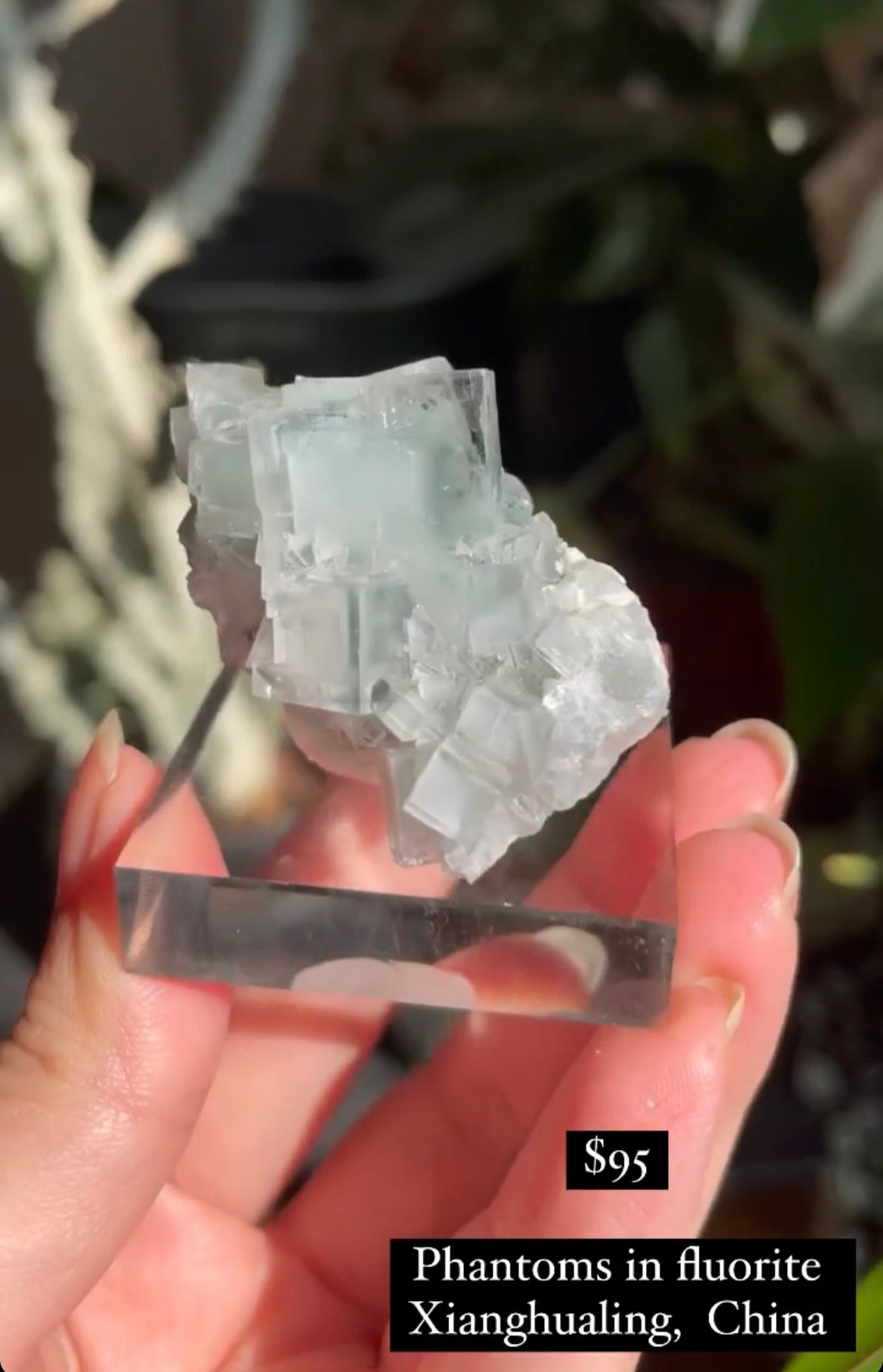 Listing for @viccilynn87