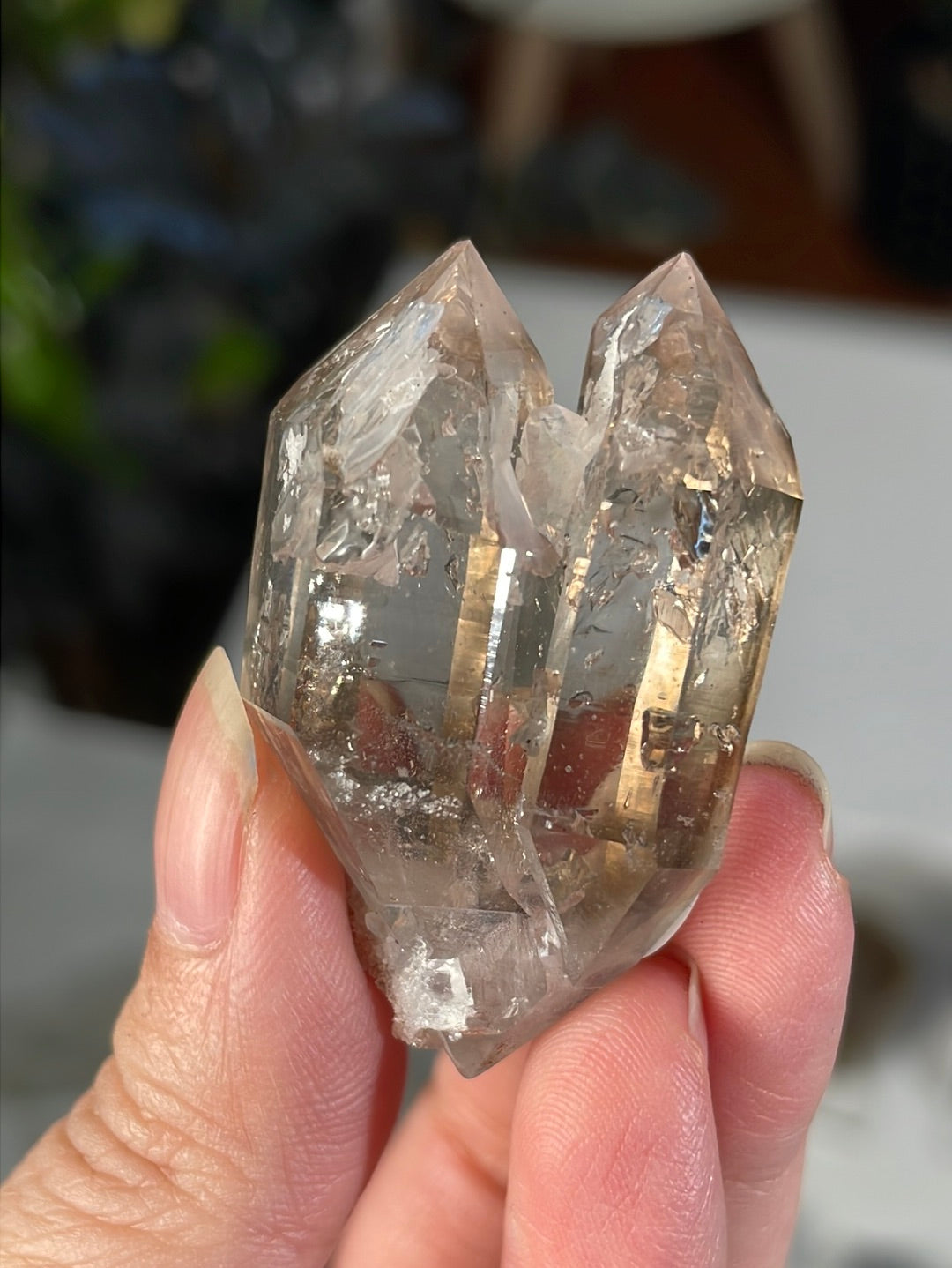 Listing for @yutingh718