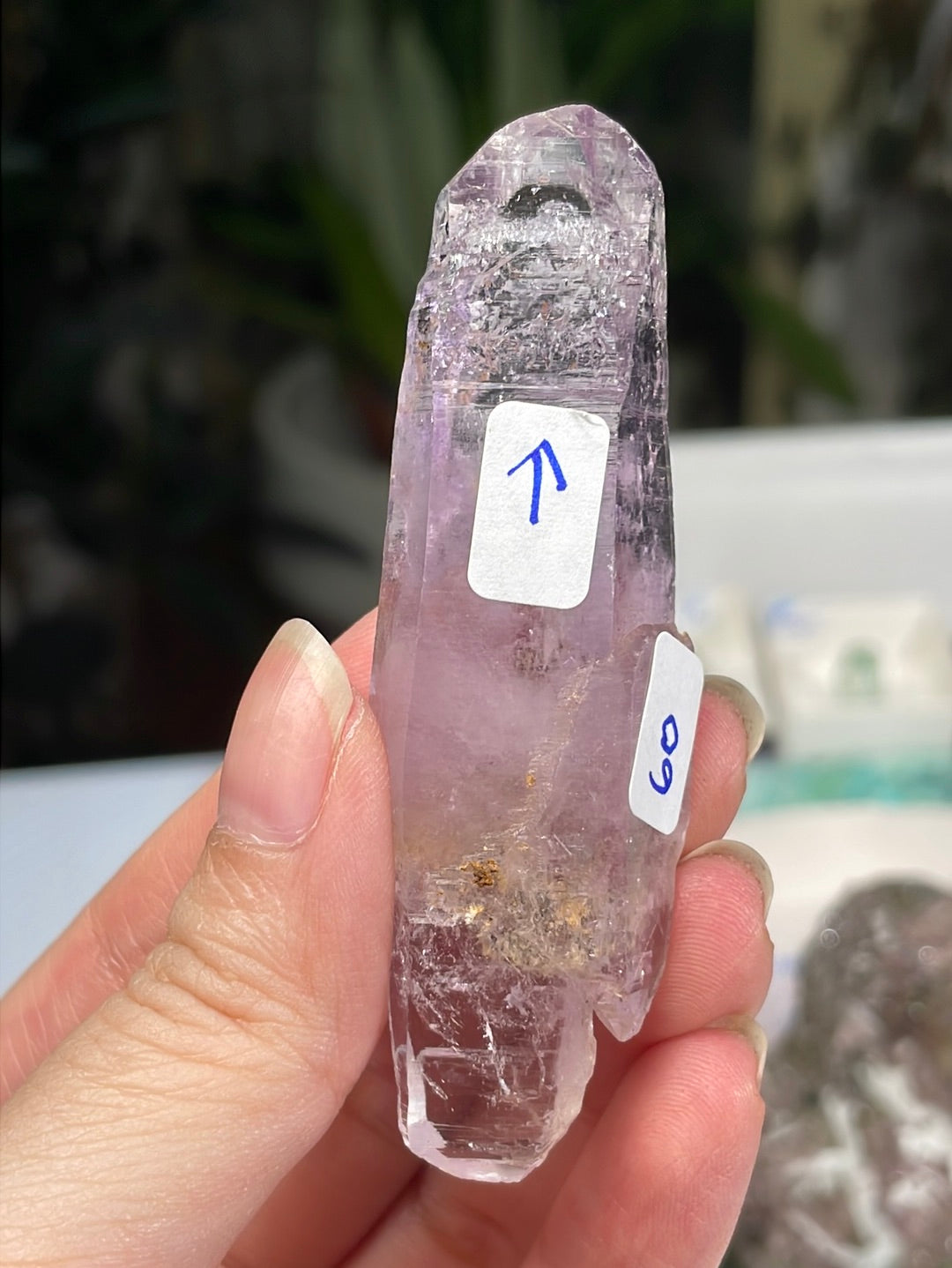 Listing for @nathanb.hair