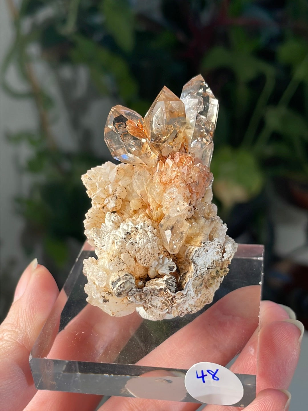 Listing for @vaderfatty