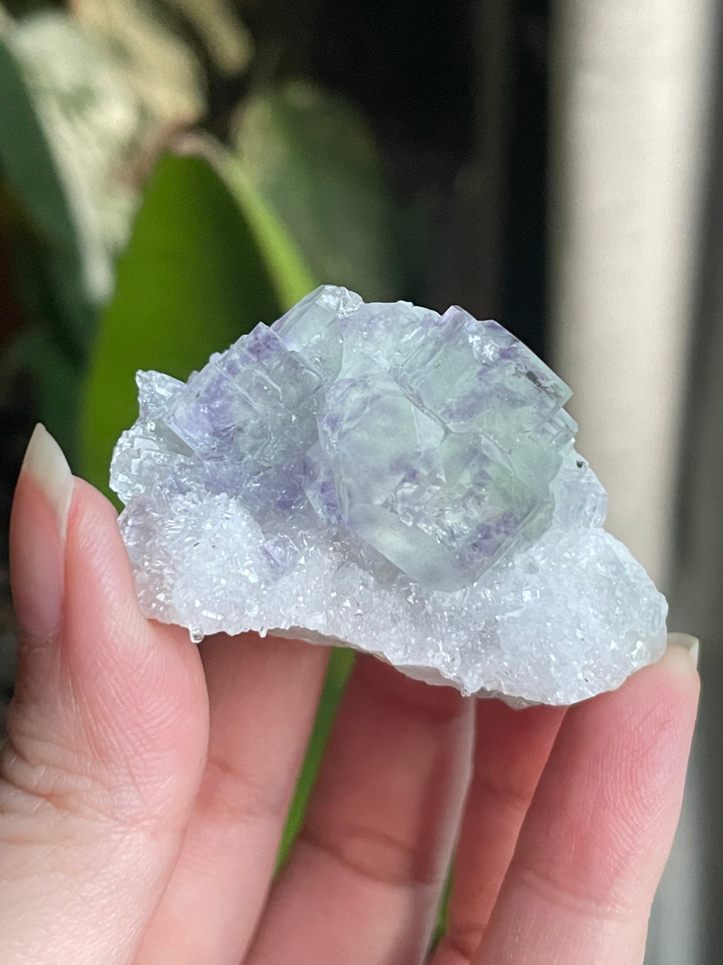 Listing for @louise_cedarwood