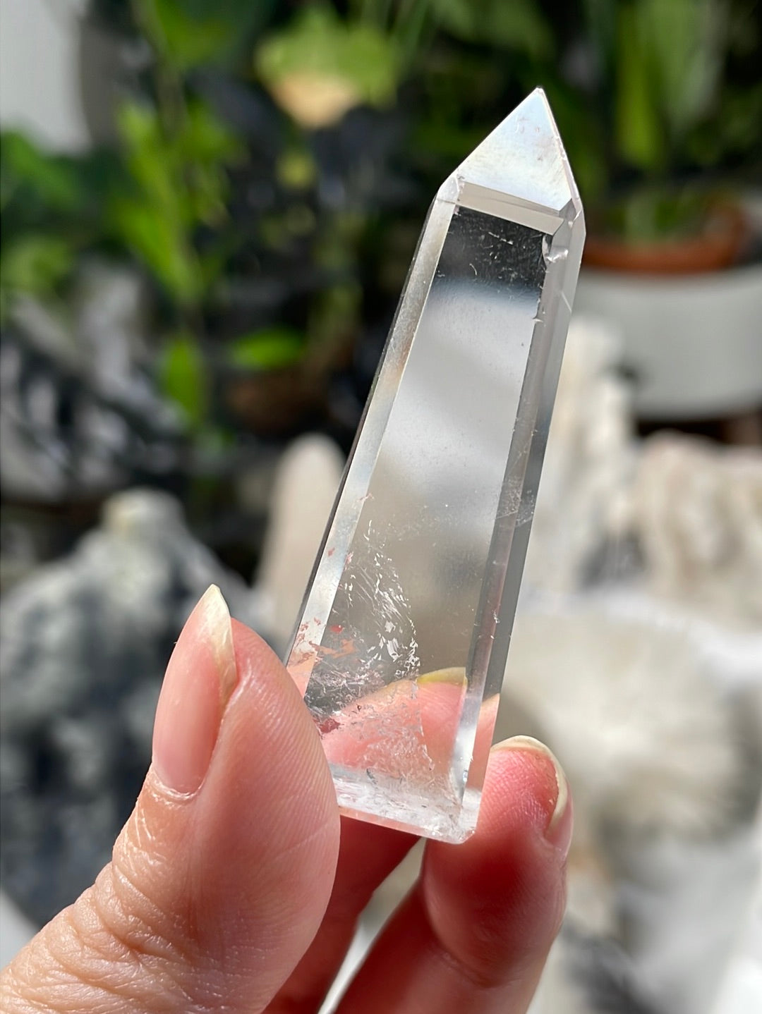 Listing for @thornefeather