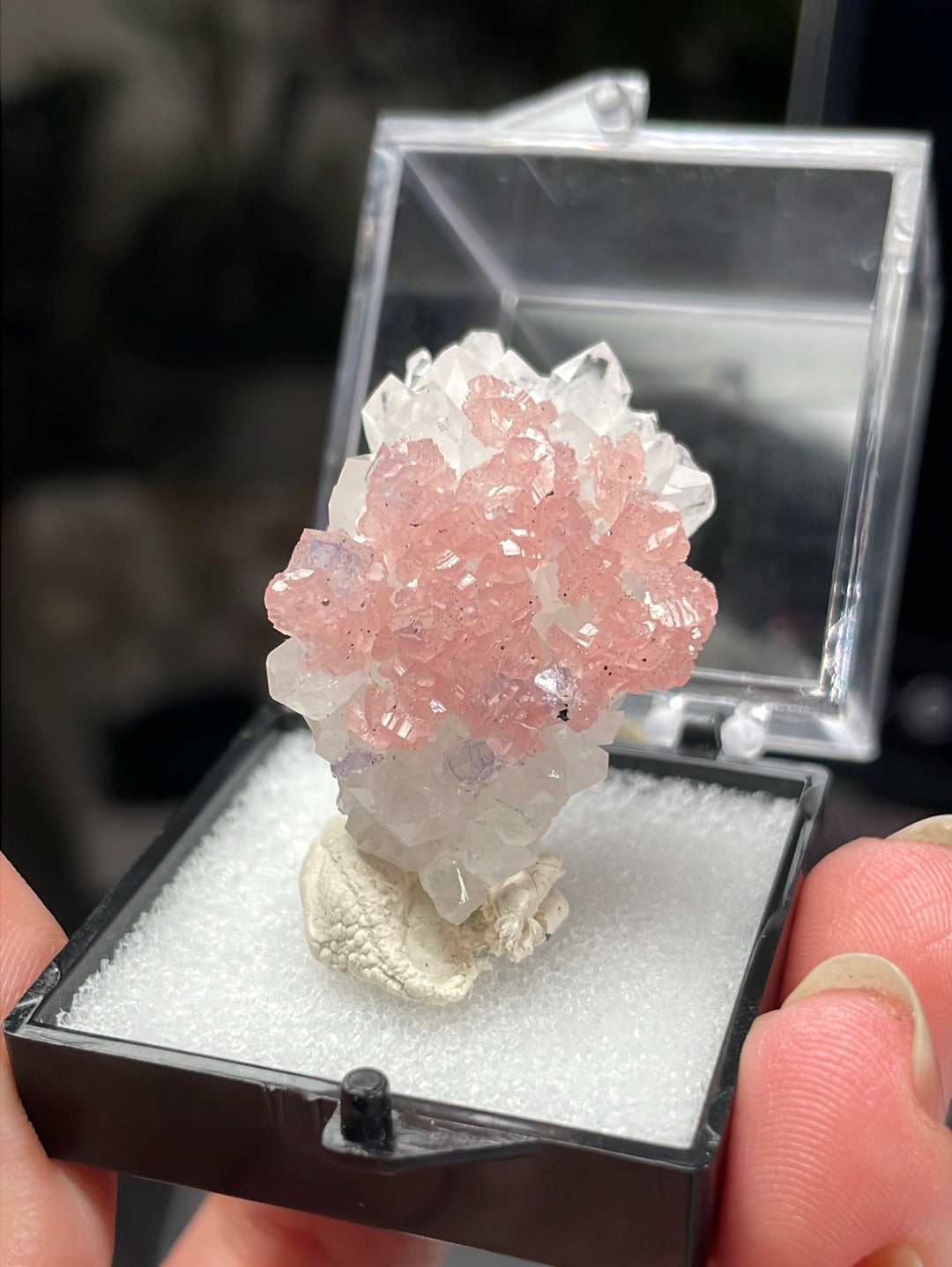 Listing for @zeanne_loves