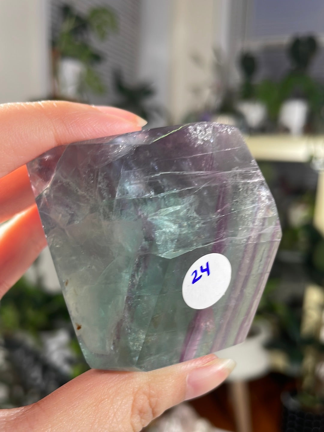 Listing for @merbunnies