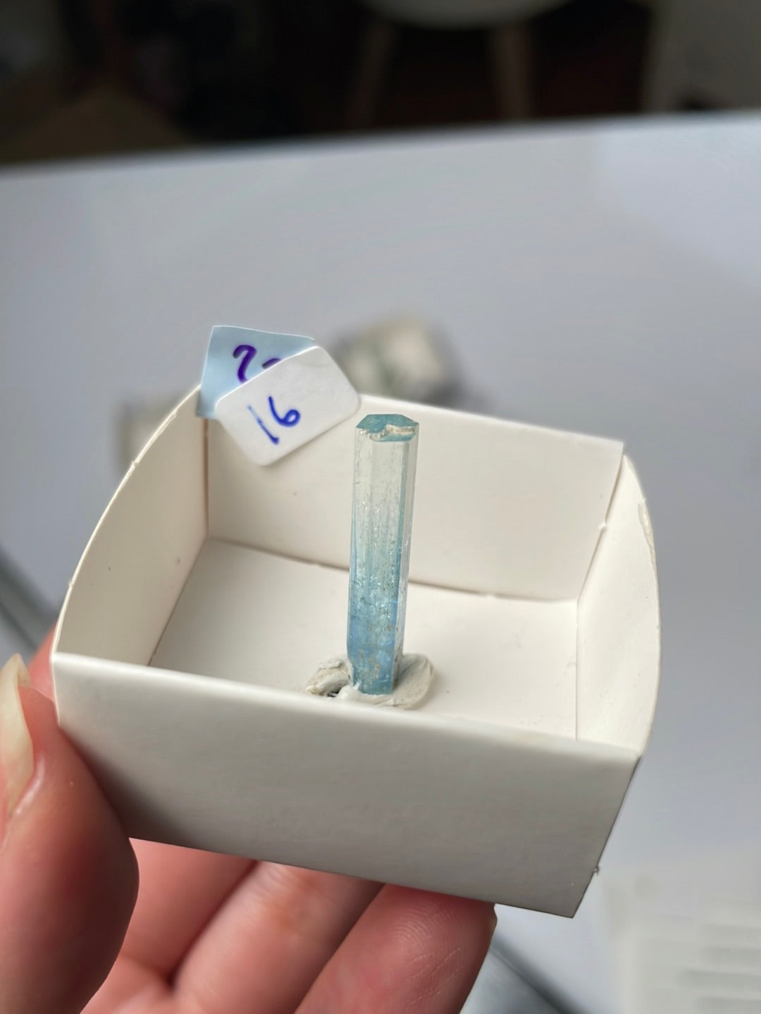 Listing for @msrosadiva