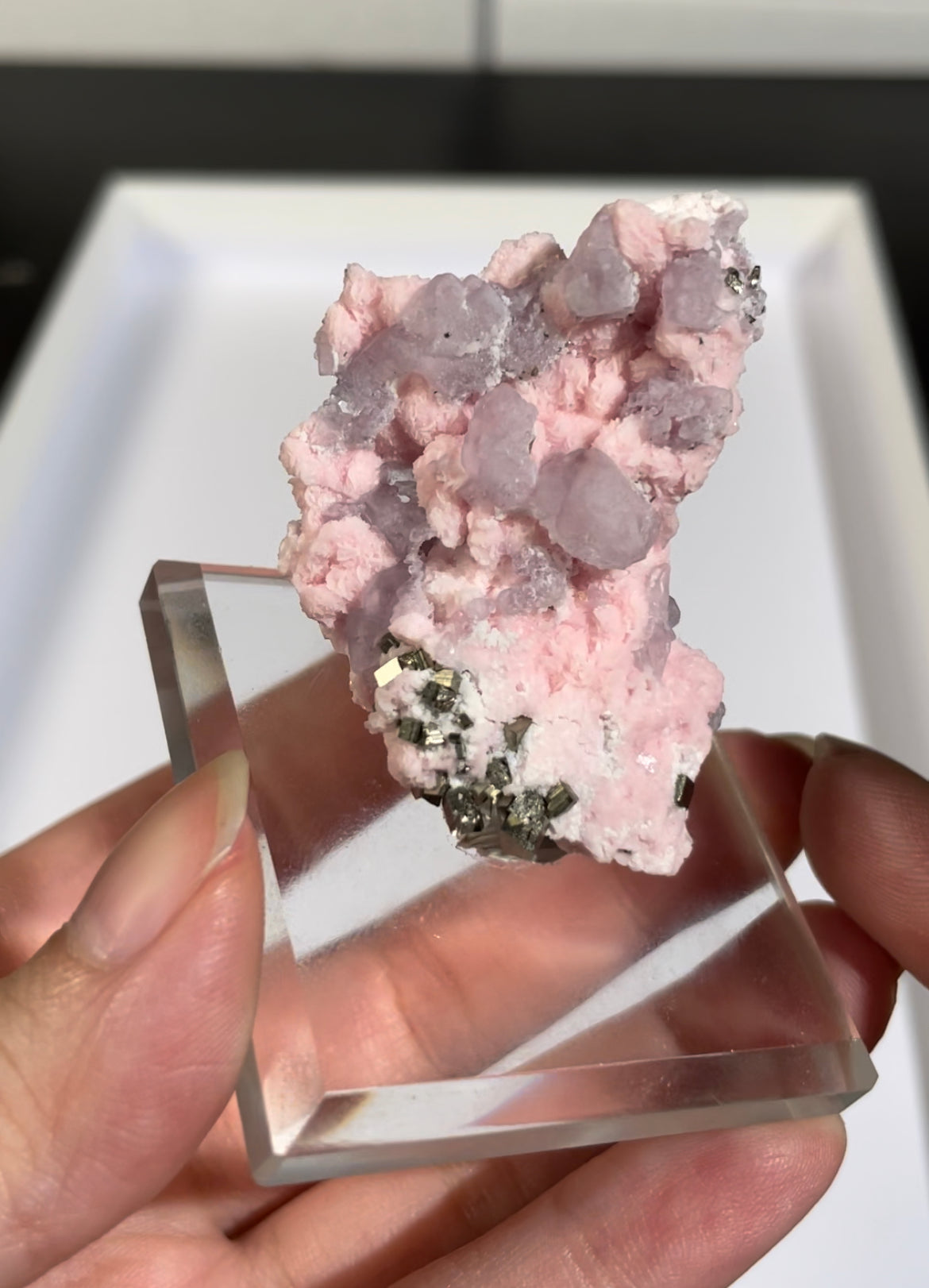 Listing for @rose_ly48