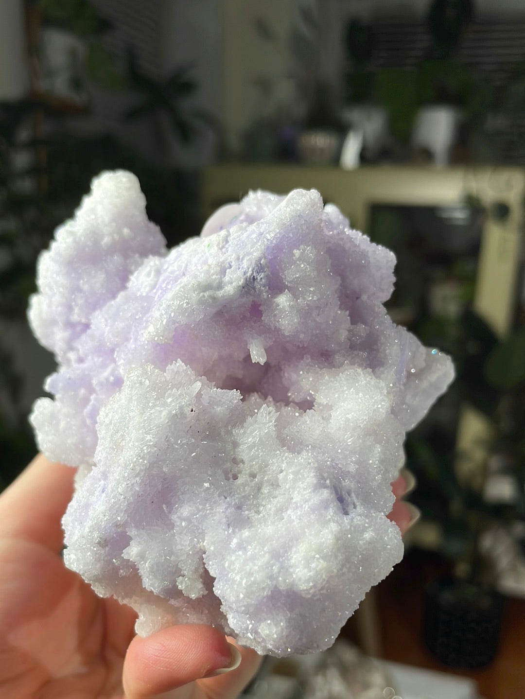 Listing for @zeanne_loves