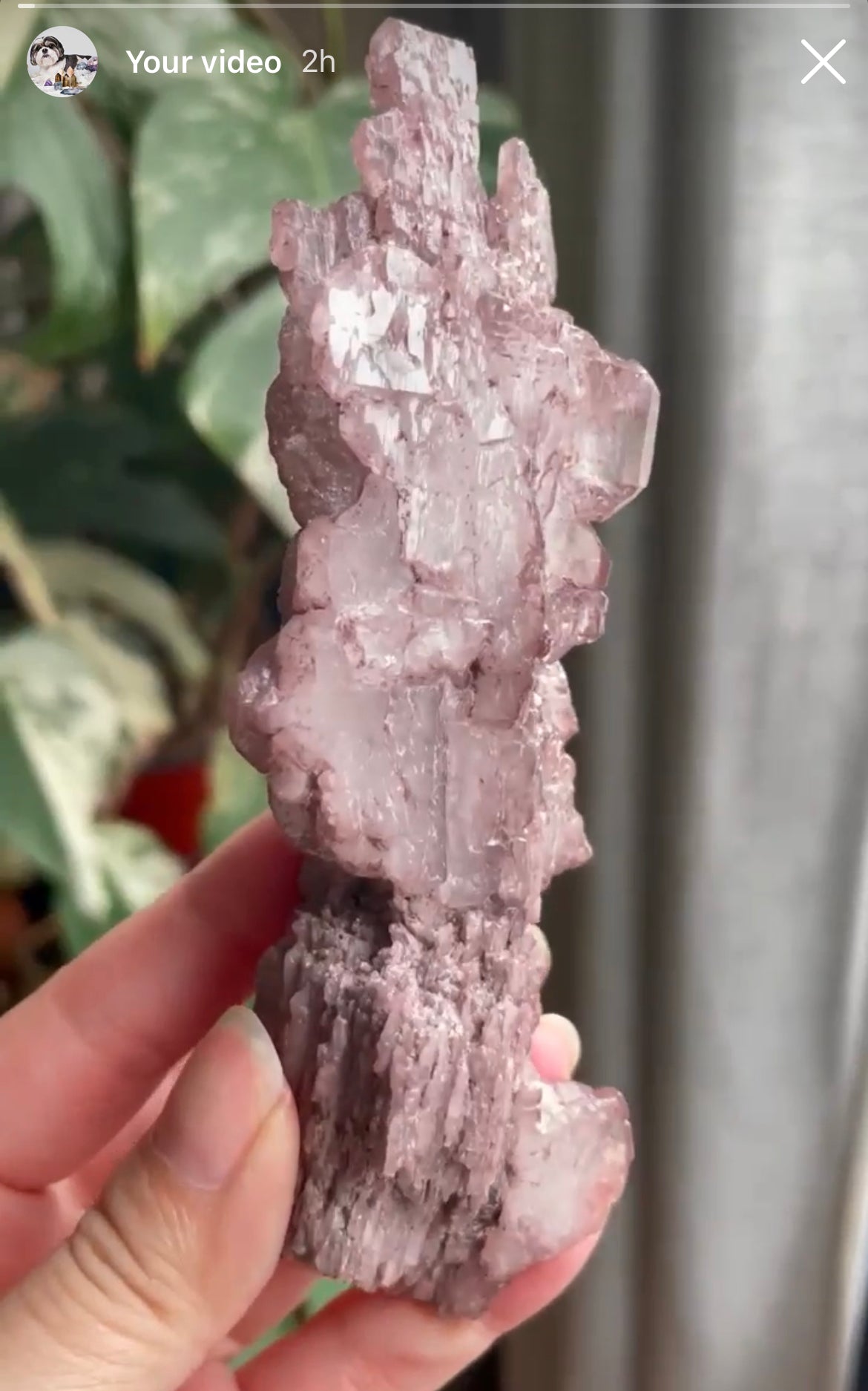 Listing for @mglass76367