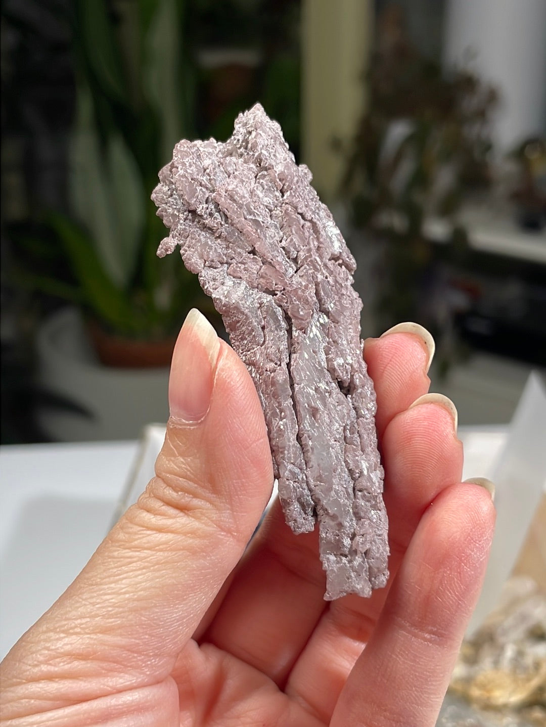 Listing for @tasmit15