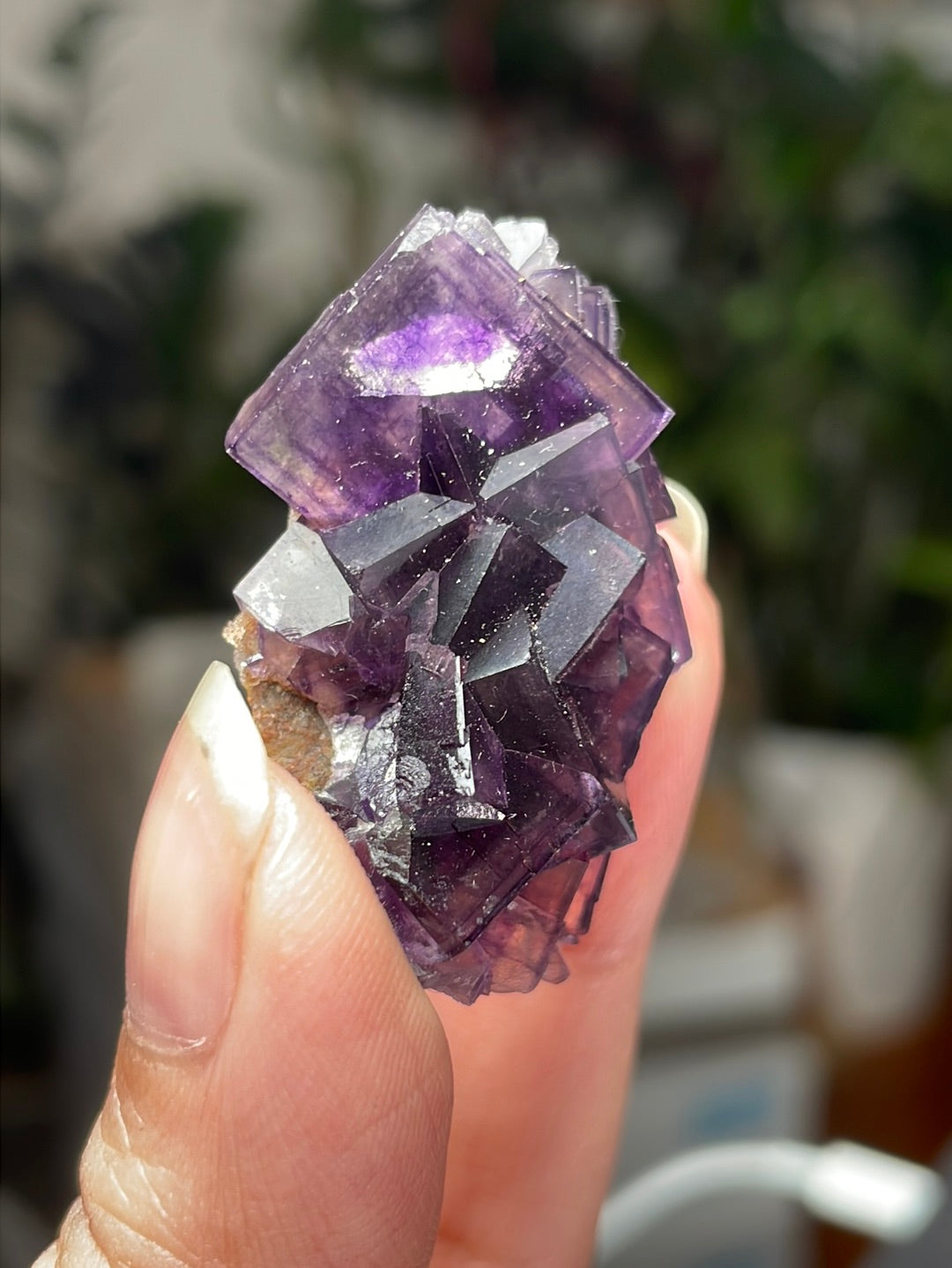 Listing for @sammerss