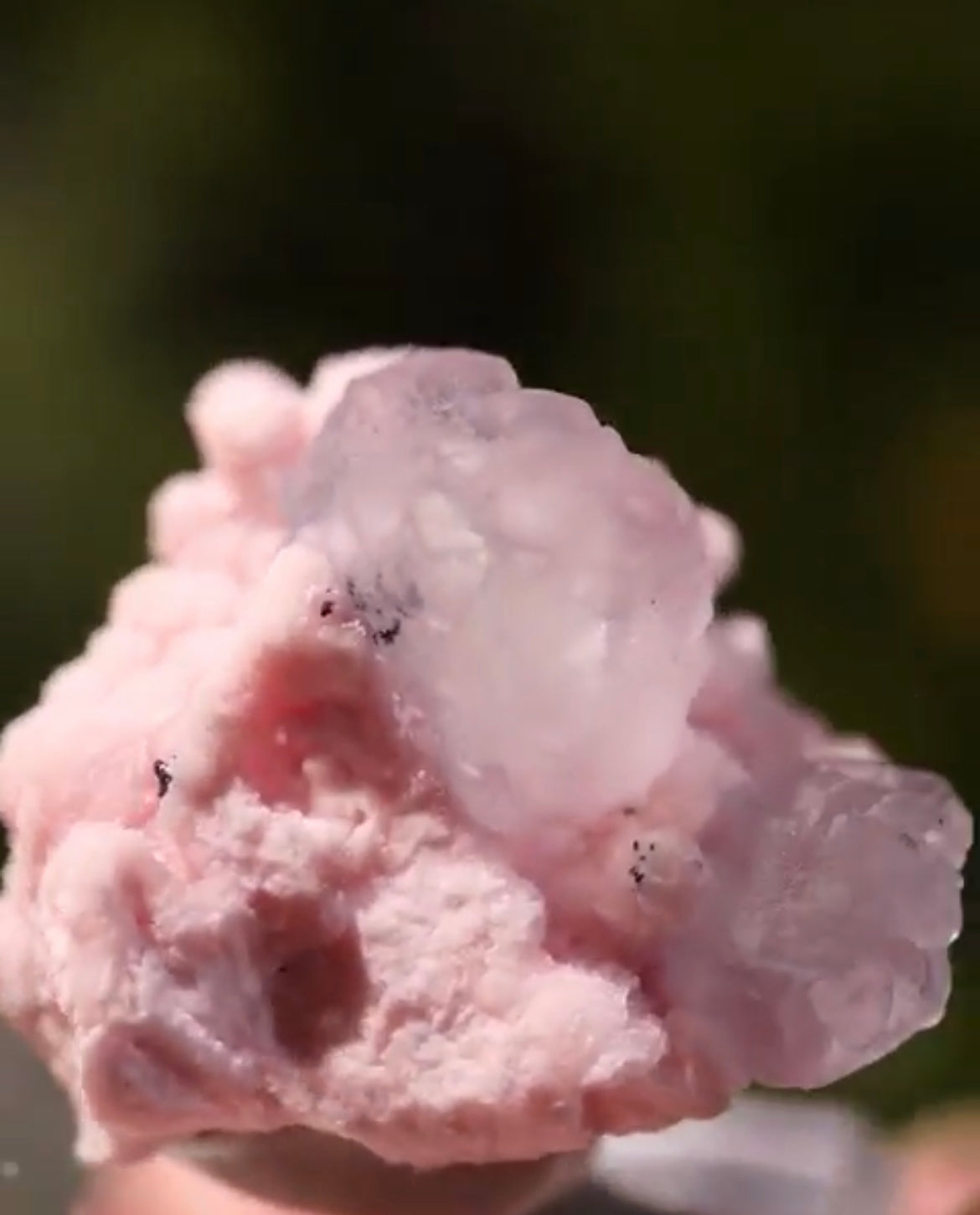 Listing for @mlle_dee_