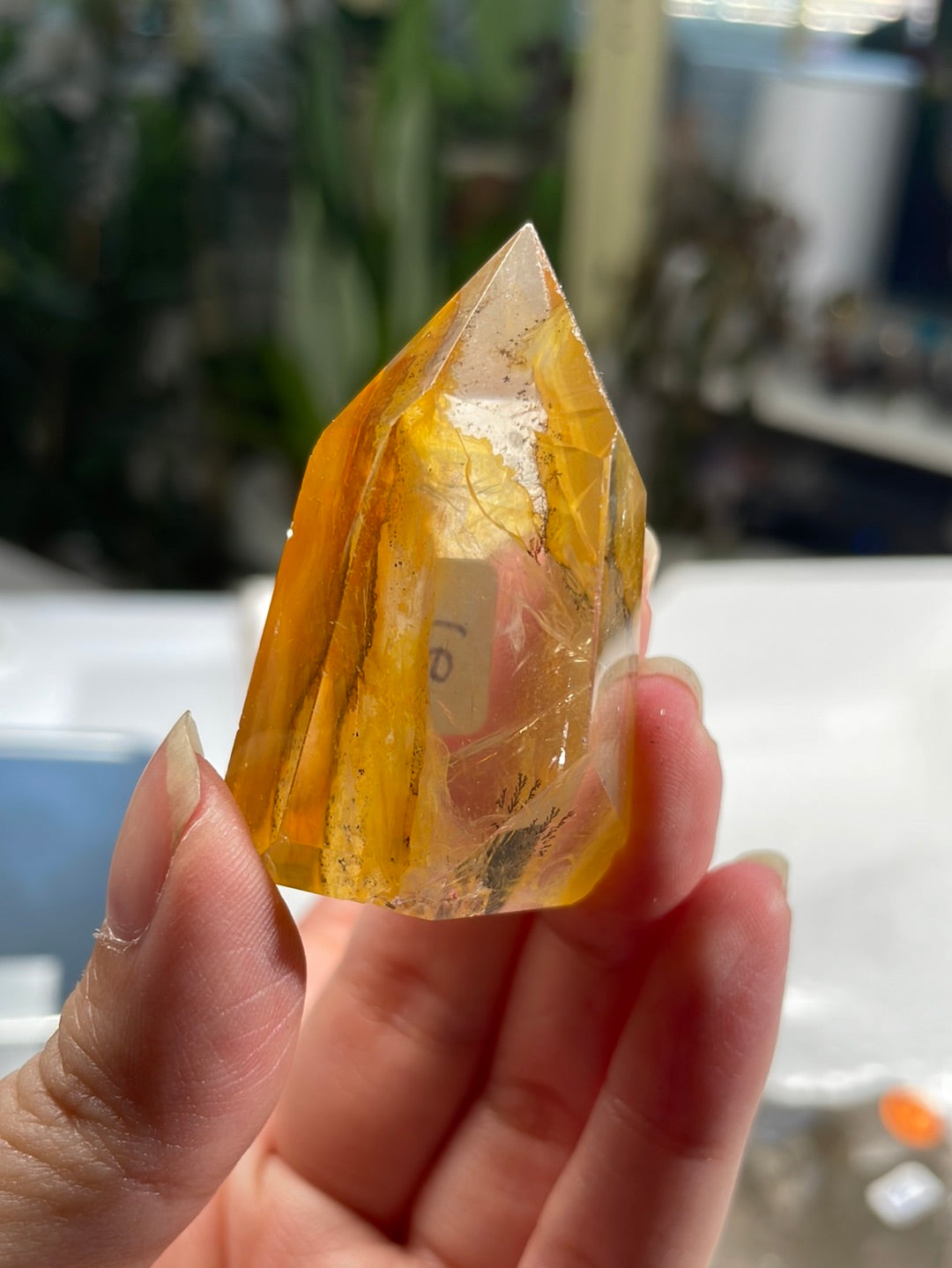 Listing for @stephlleavell