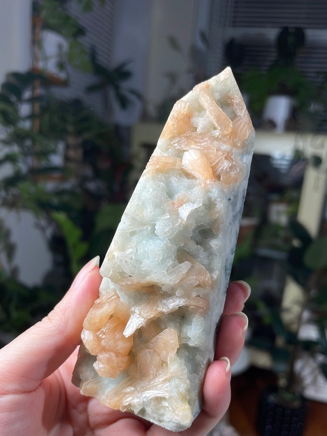 Listing for @sunnflowered