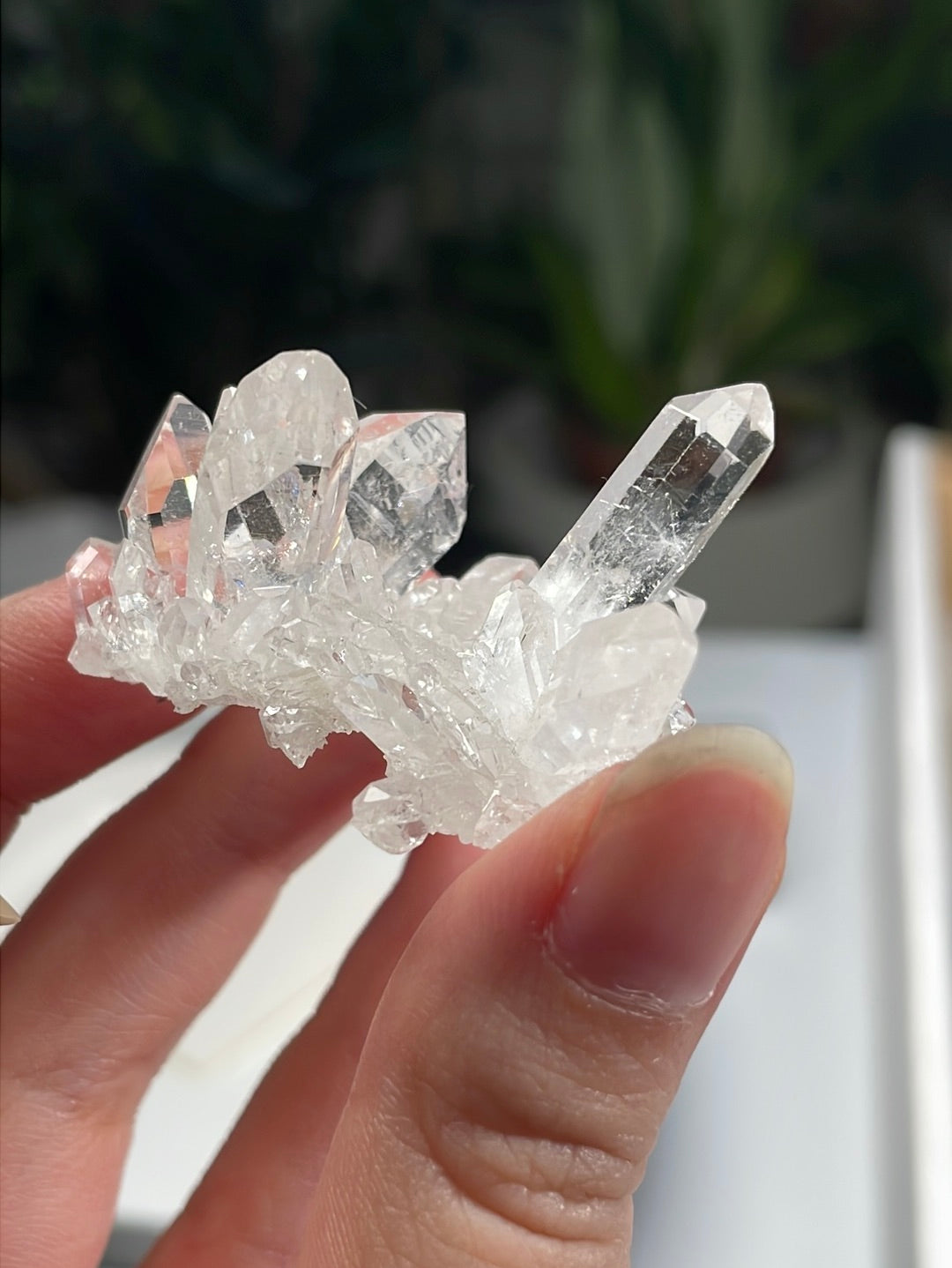 Listing for @coolstufffromearth