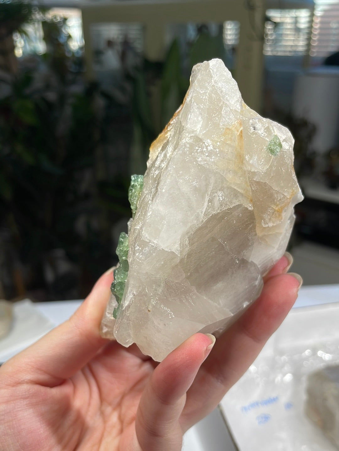 Listing for @petitedobber