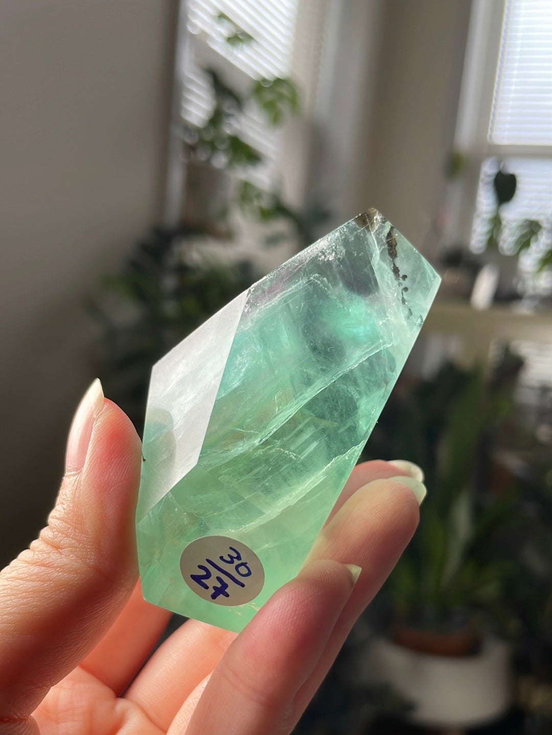 Listing for @melissamigliano