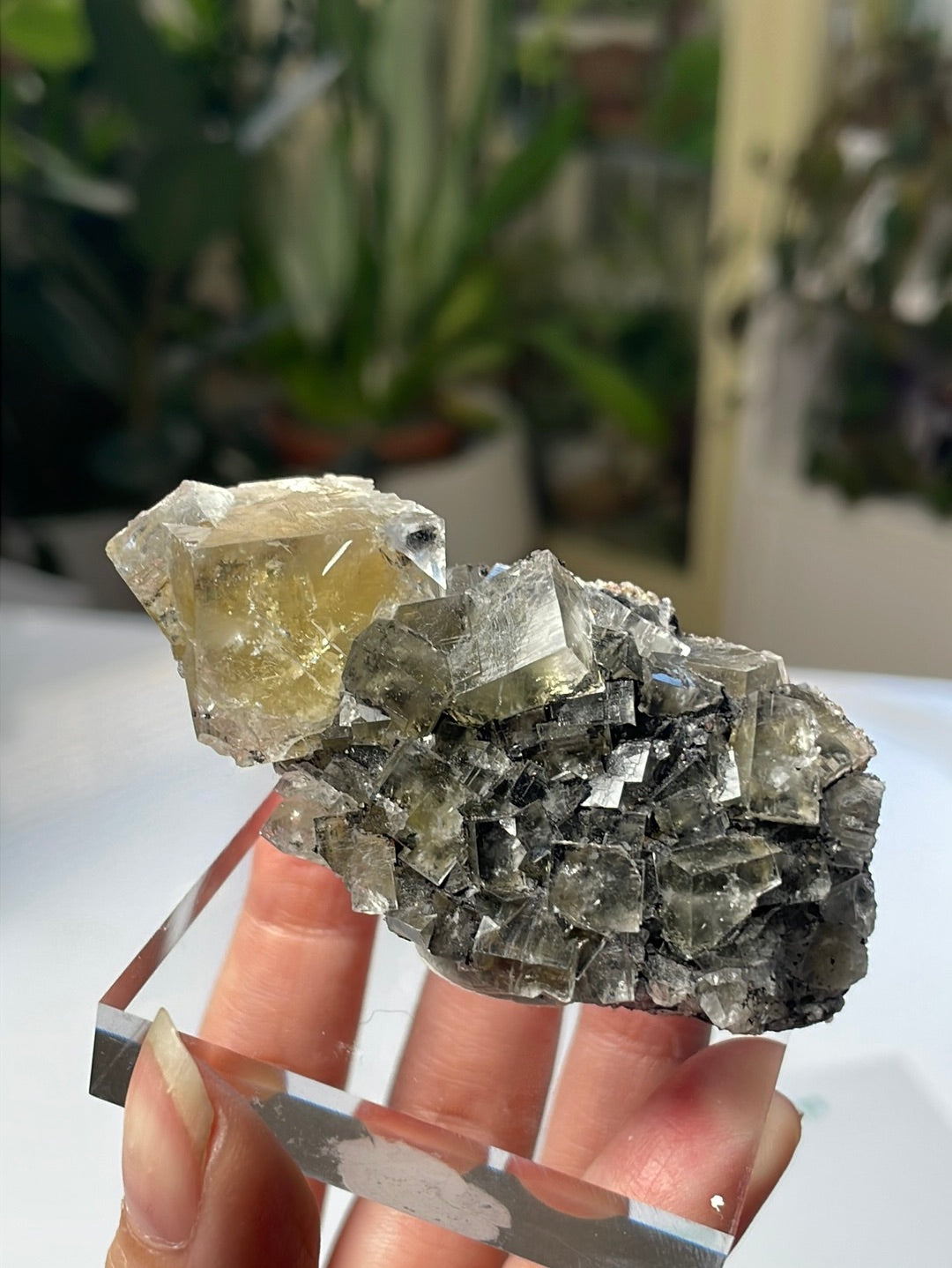 Listing for @sammerss