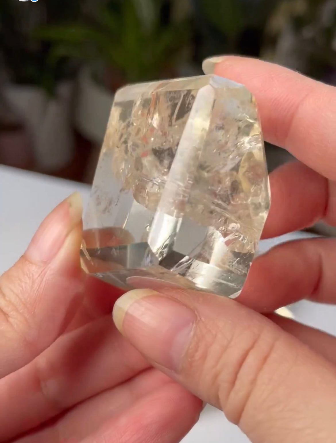 Listing for @misschelsea___