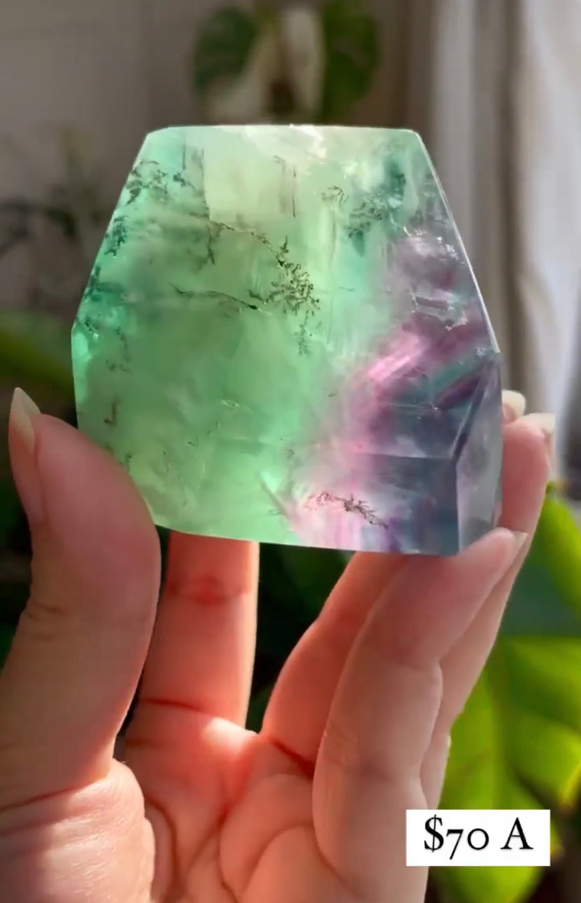 Listing for @wildflowers_n_sun